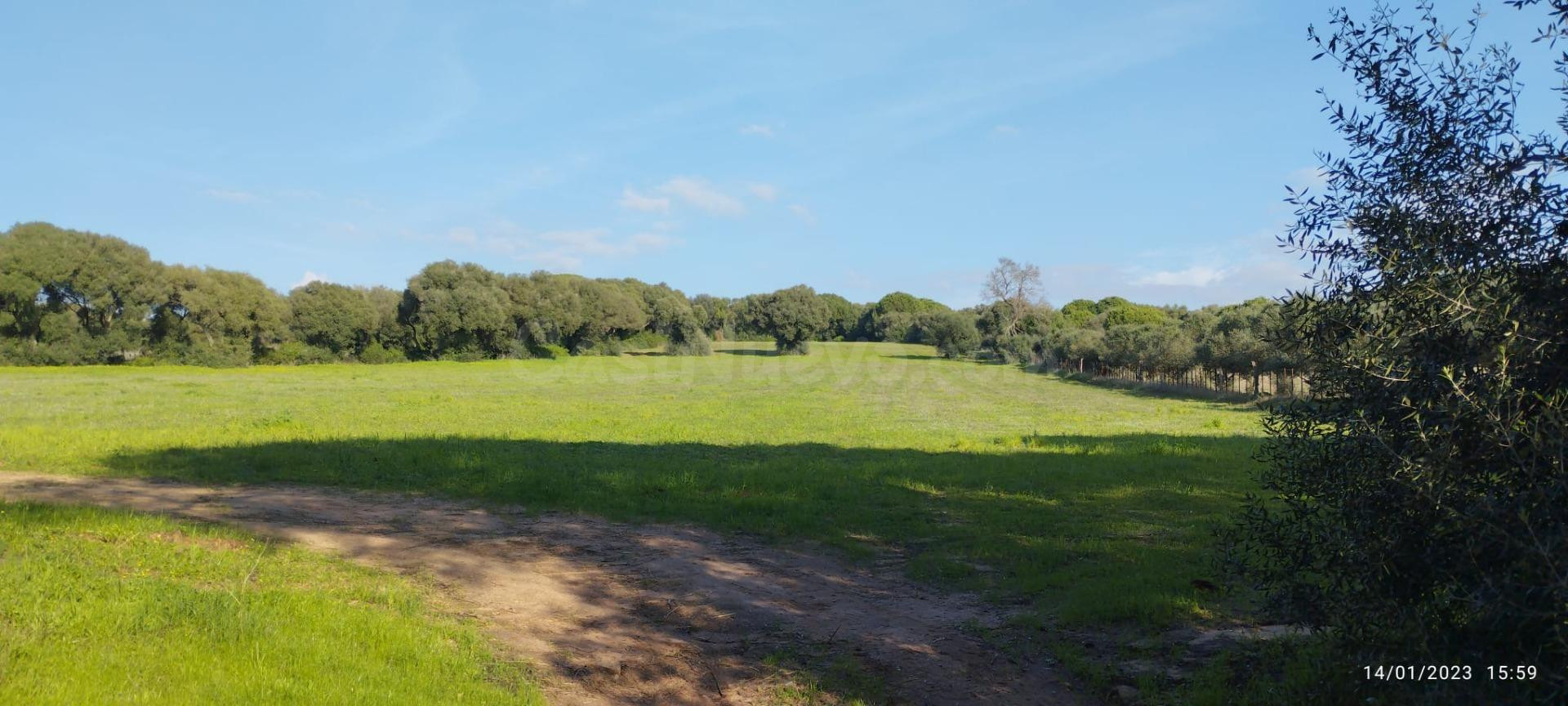 Terreno junto a campo de golf de Monteenmedio