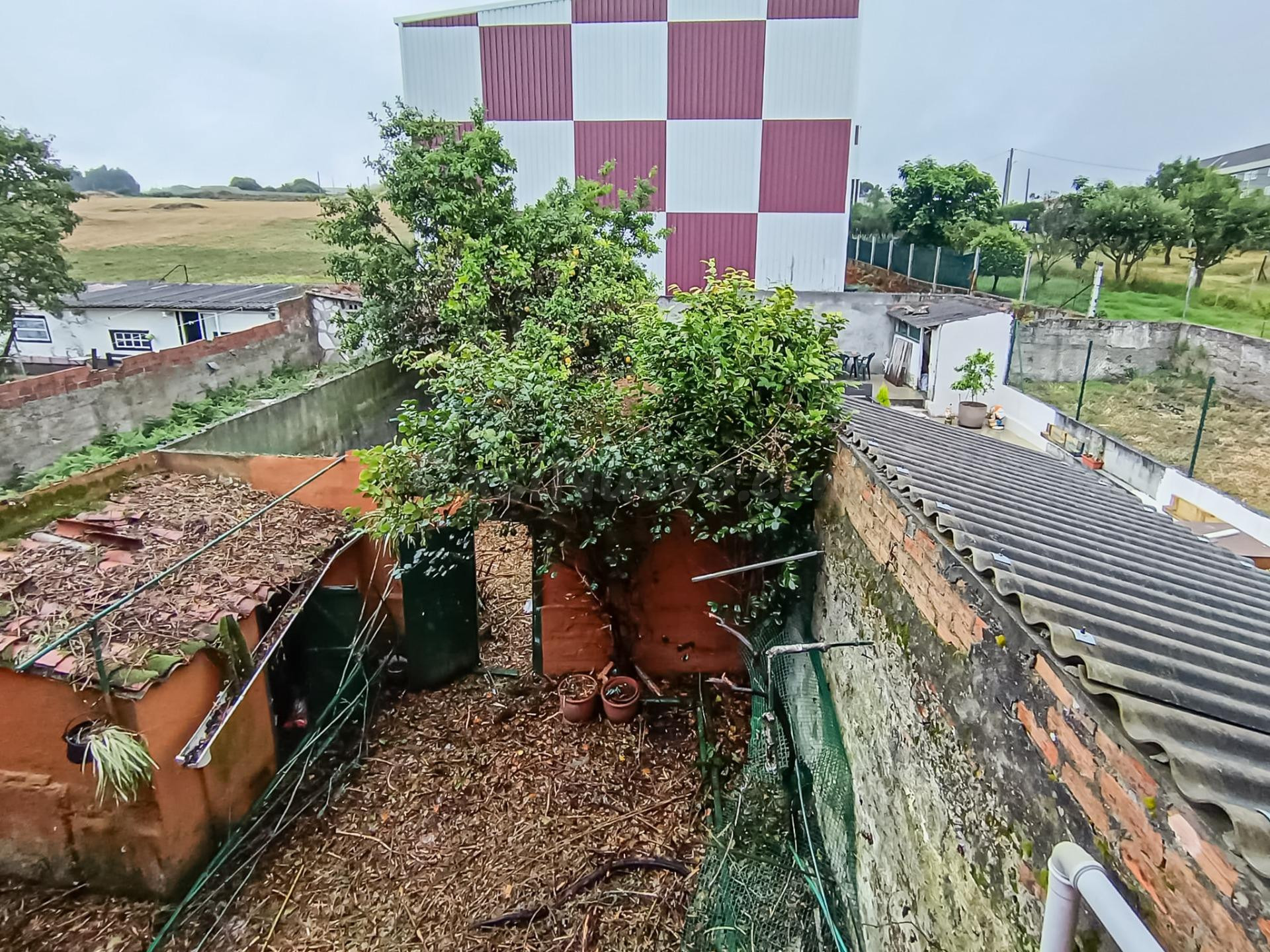 Casa con terreno en A Silva, justo al lado del Ventorrillo - foto 3