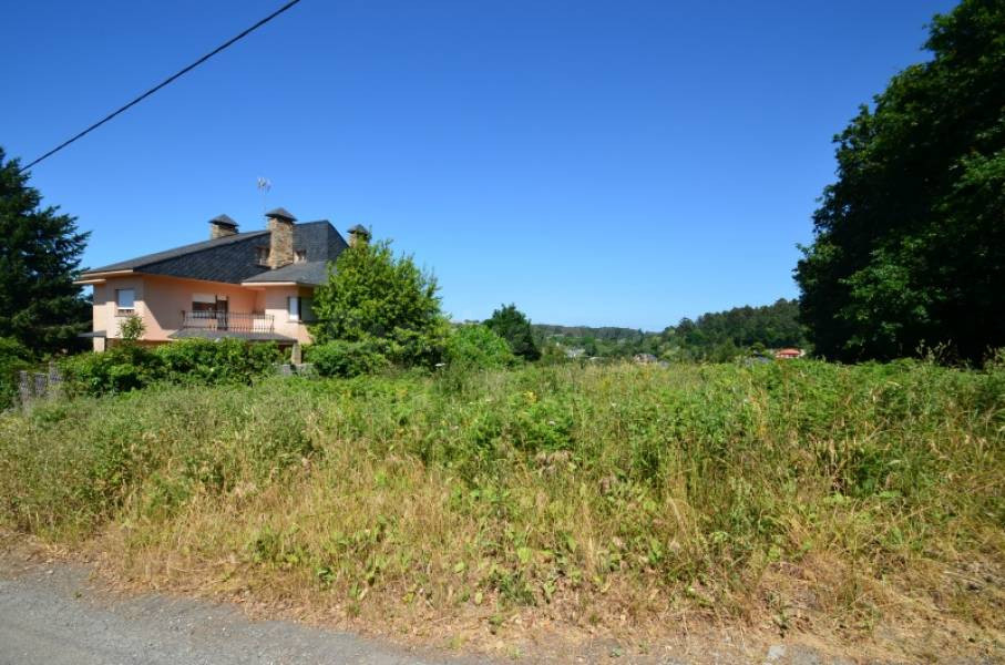 Finca de 912 m2., apta para uno o dos chalés - foto 4