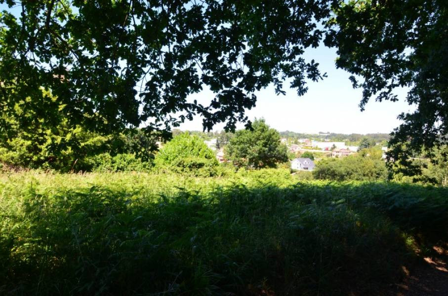 Finca de 912 m2., apta para uno o dos chalés - foto 5