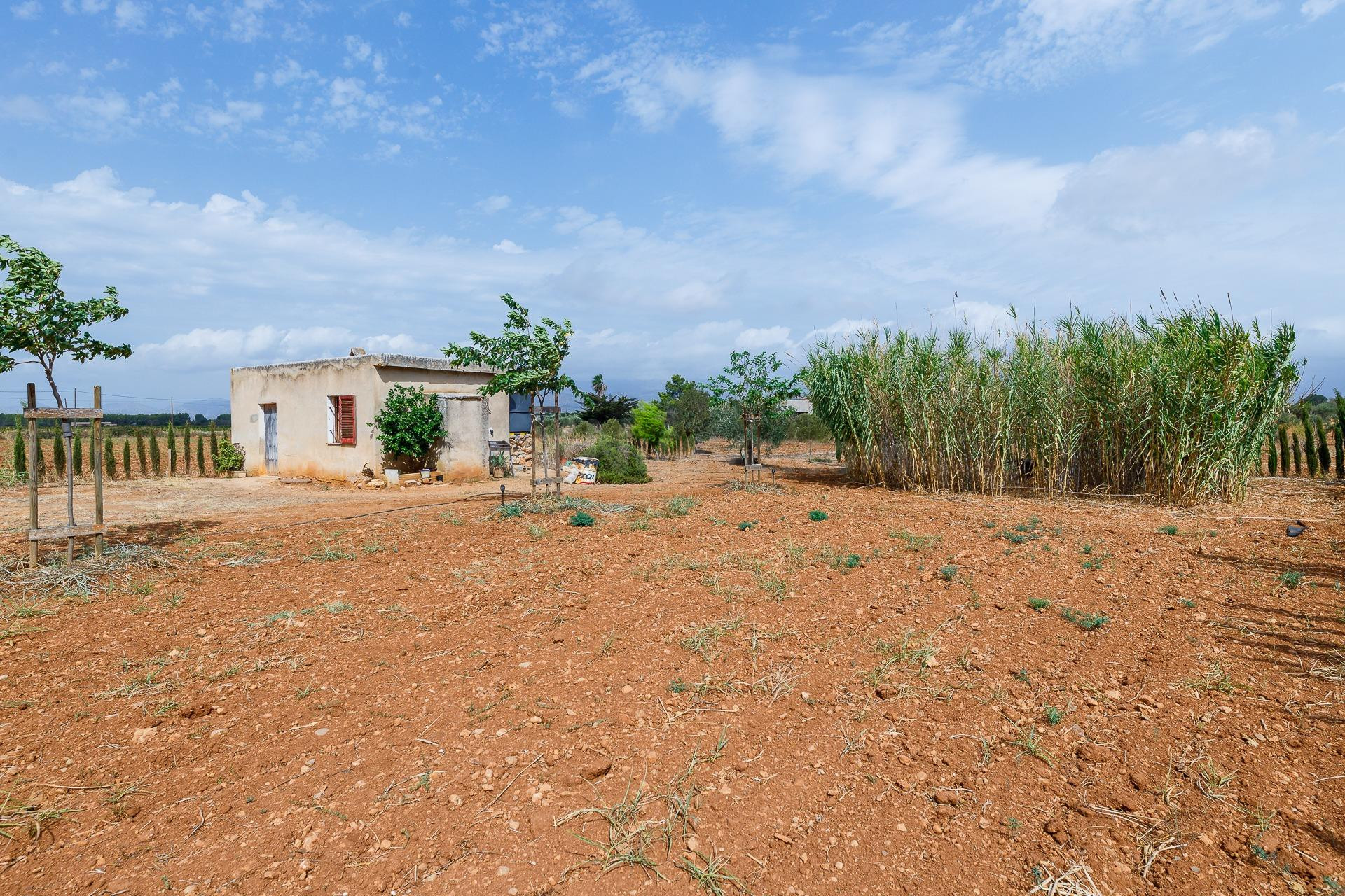 FINCA RÚSTICA CON POZO DE VENA EN SANTA EUGENIA