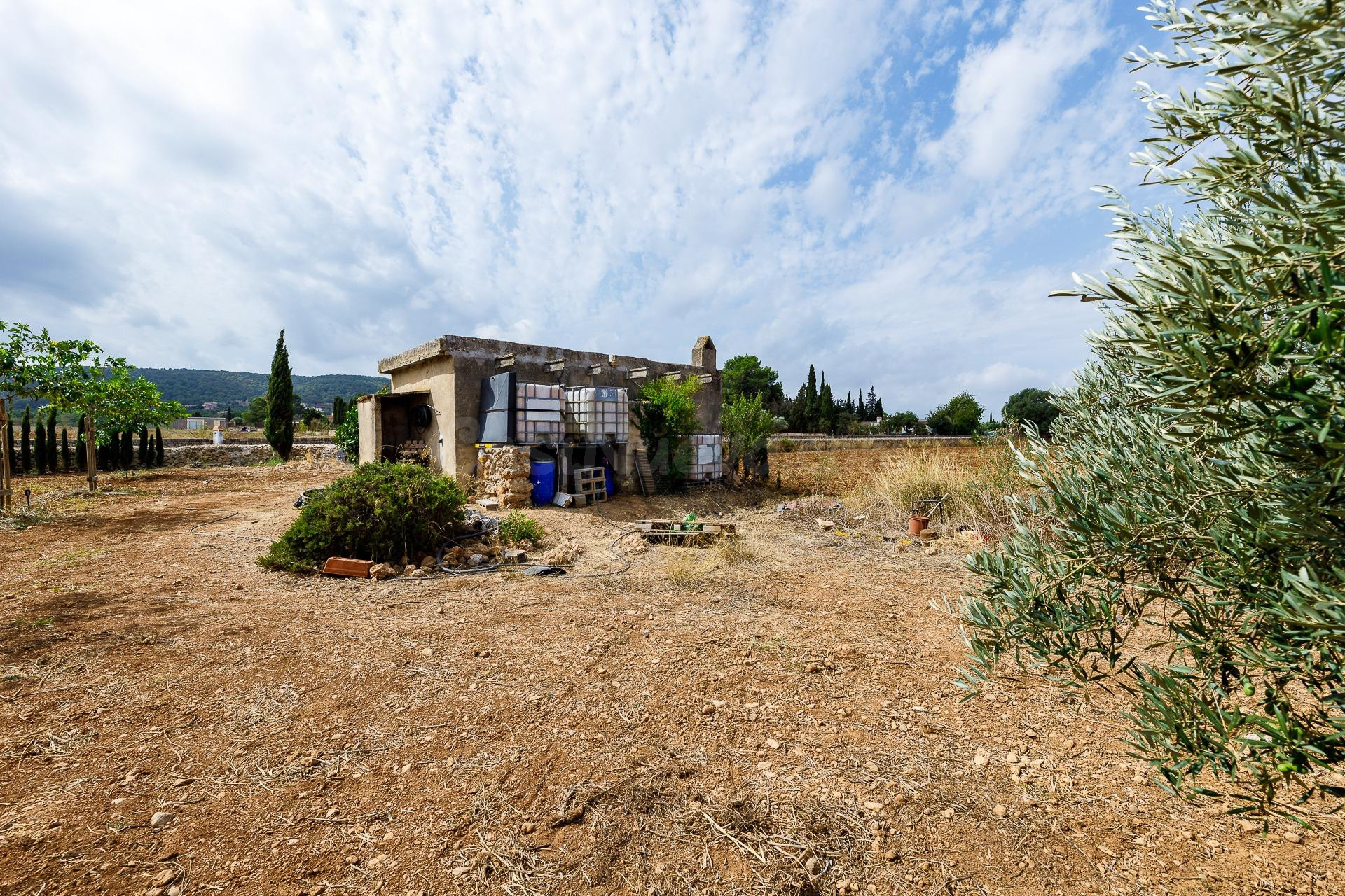 FINCA RÚSTICA CON POZO DE VENA EN SANTA EUGENIA - foto 5