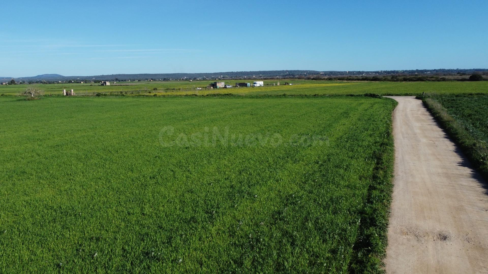 Amplia Parcela en Campos - foto 2