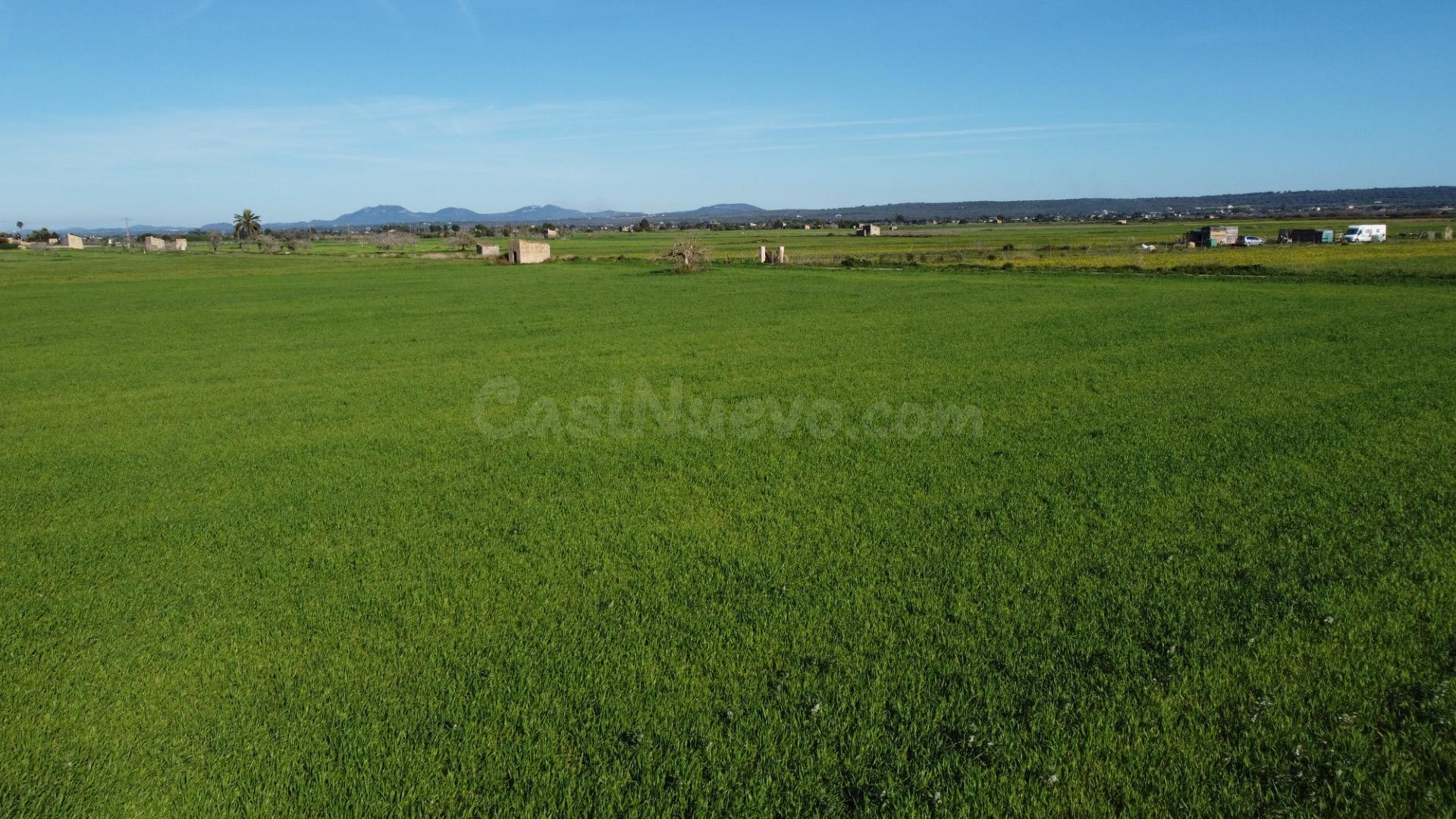 Amplia Parcela en Campos - foto 3