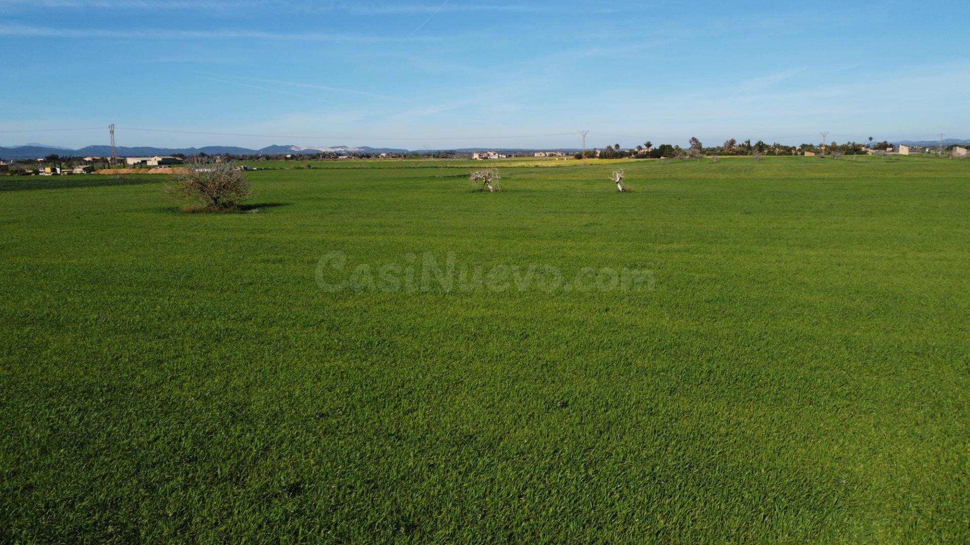 Amplia Parcela en Campos - foto 4