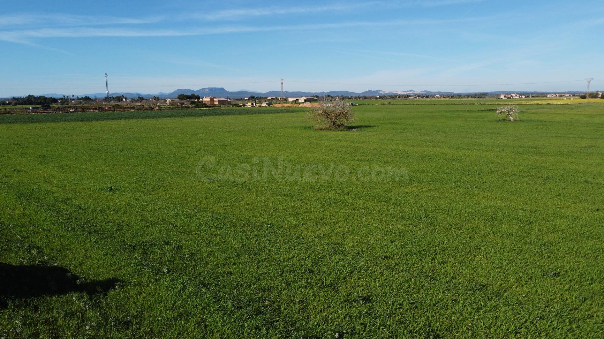 Amplia Parcela en Campos - foto 5