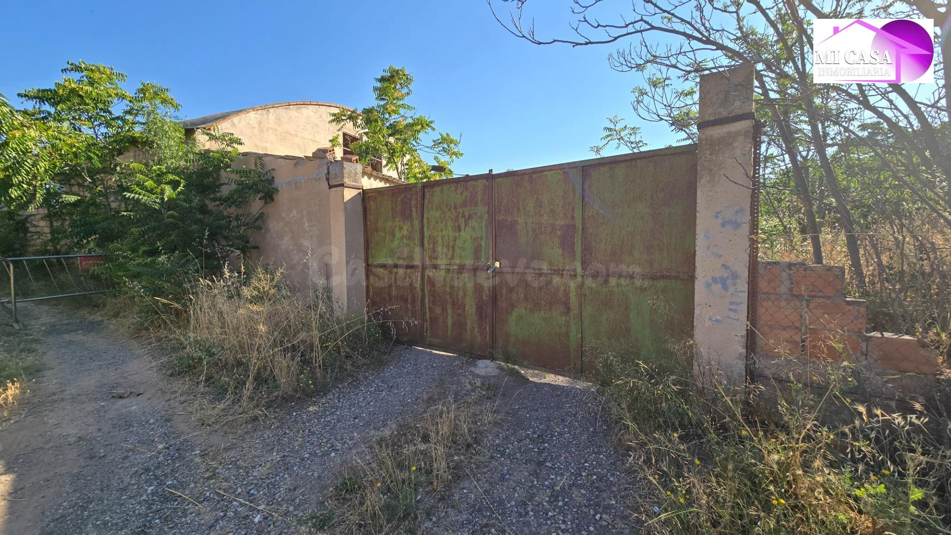GRAN OPORTUNIDAD PARA MONTAR UN NEGOCIO AGRARIO - foto 2