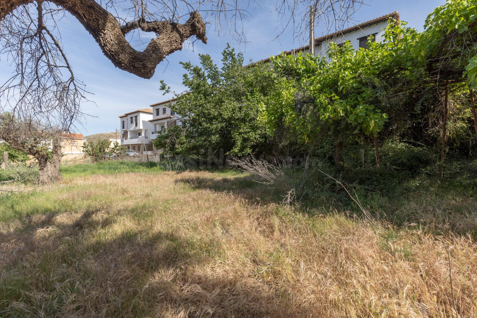 TERRENO URBANO con proyecto técnico enfocado a un COMPLEJO T - foto 4