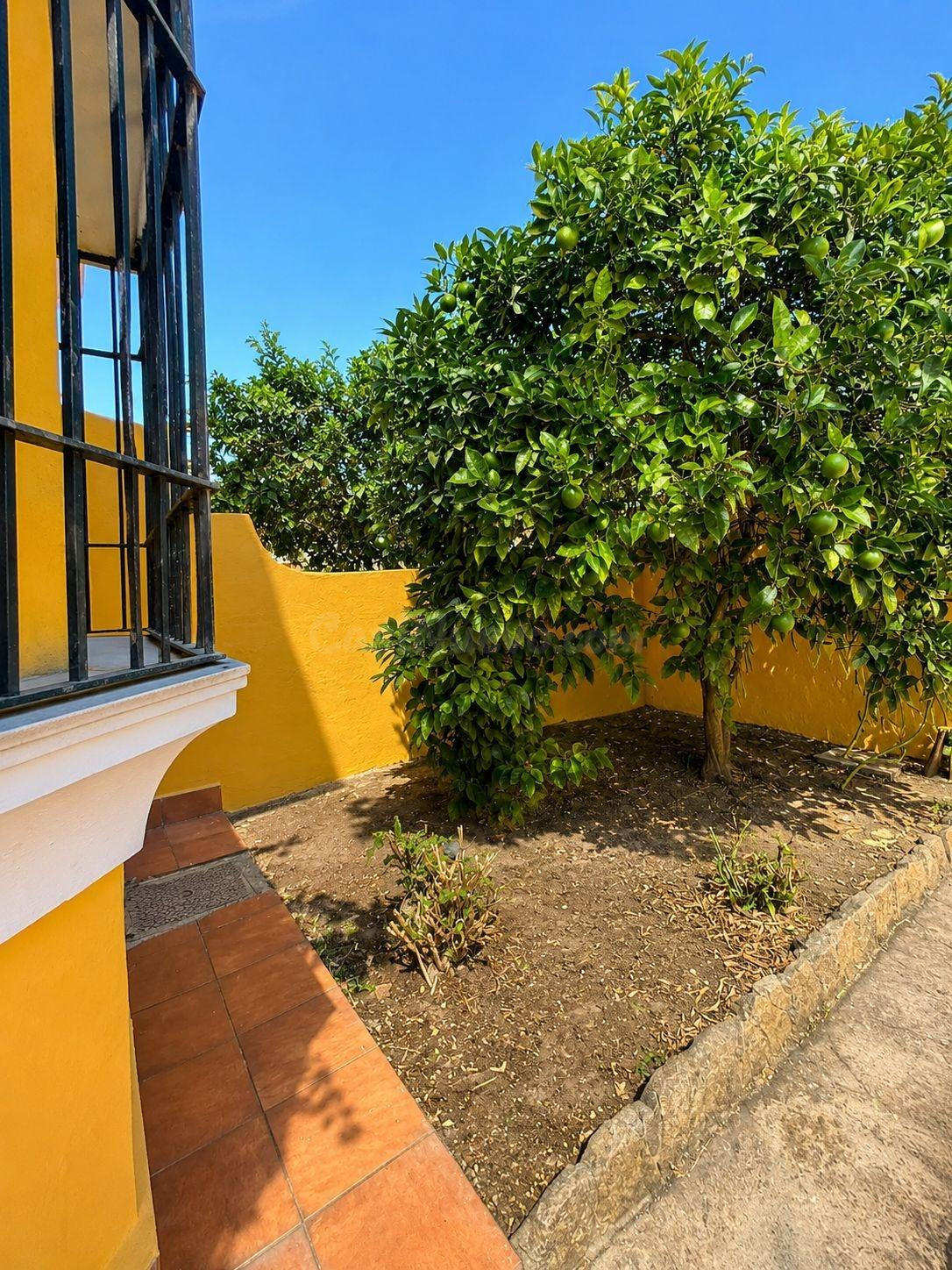 ADOSADO CON GRAN PATIO EN RINCONCILLO - foto 5