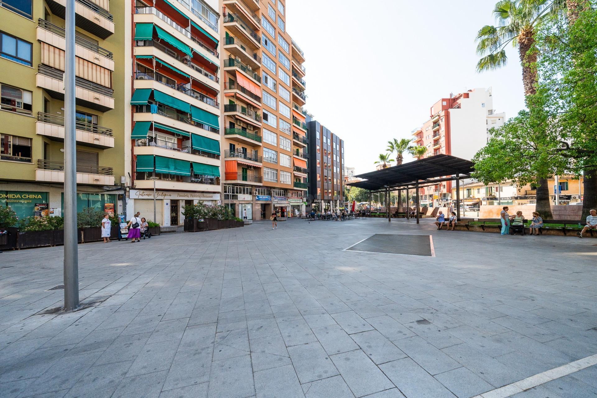 LOCAL COMERCIAL EN PALMA - ZONA PLAZA MADRID - foto 3
