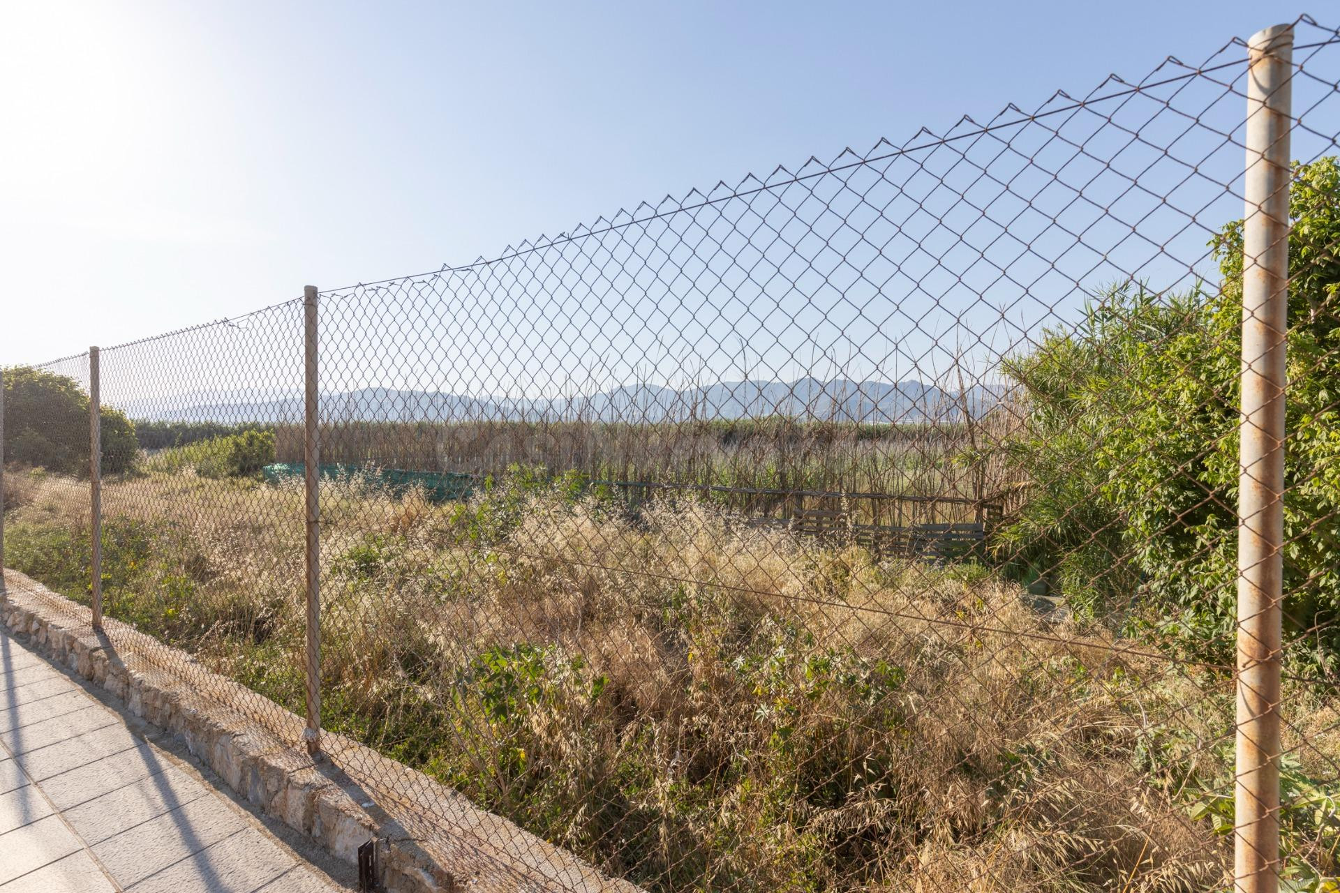 Invierte en el futuro de Playa Granada: una oportunidad únic - foto 3