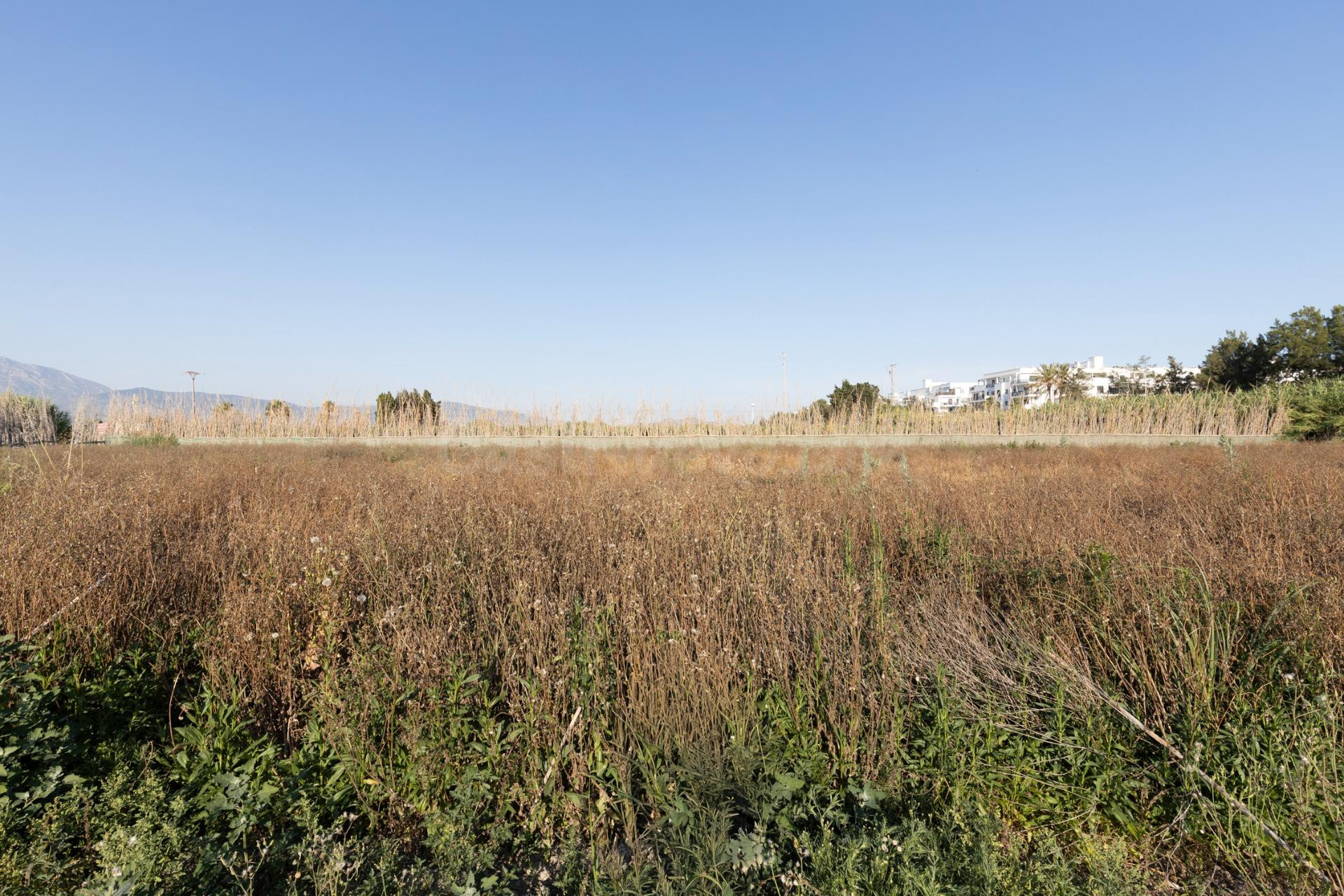 Invierte en el futuro de Playa Granada: una oportunidad únic - foto 4