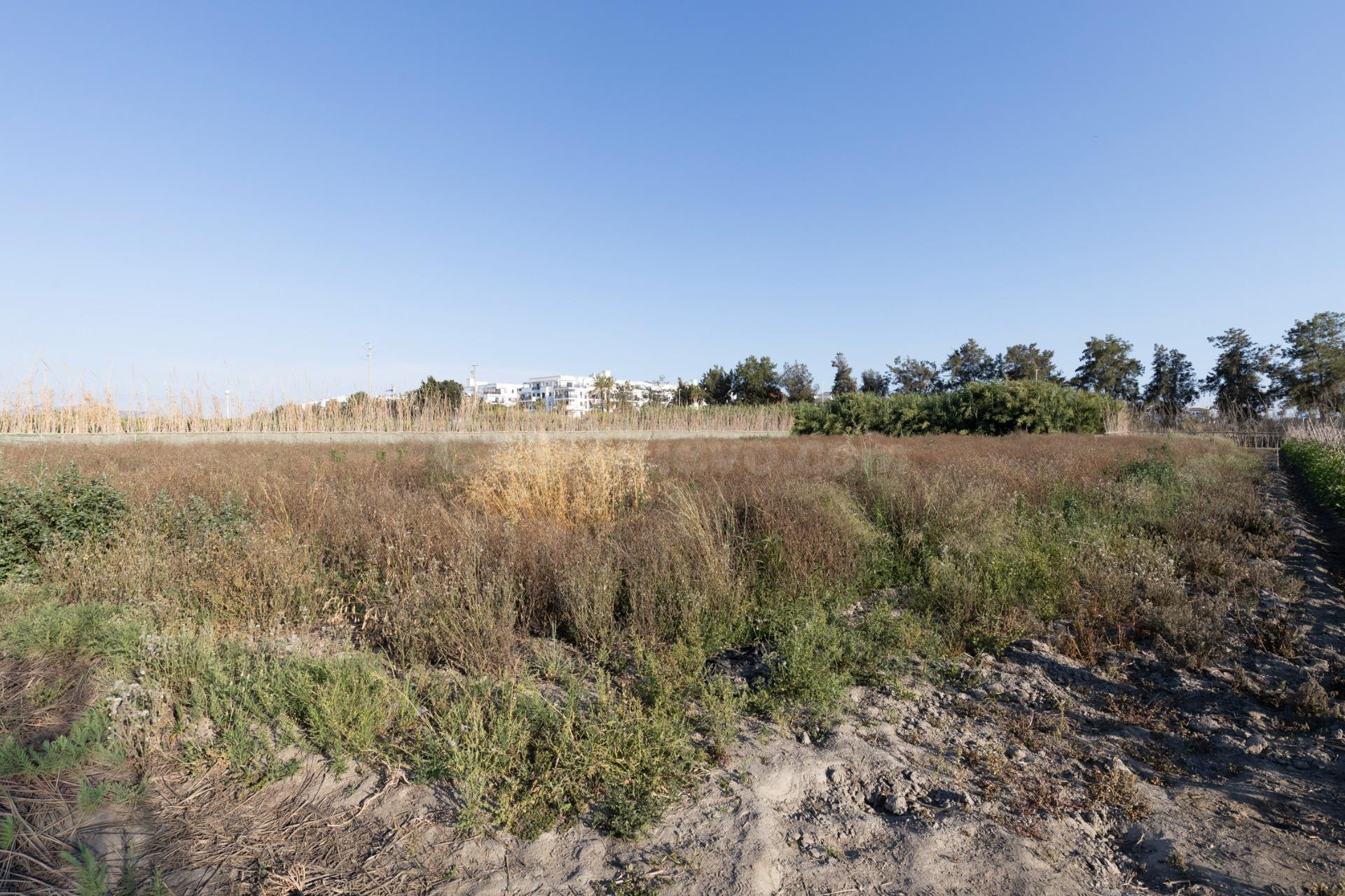 Invierte en el futuro de Playa Granada: una oportunidad únic - foto 5