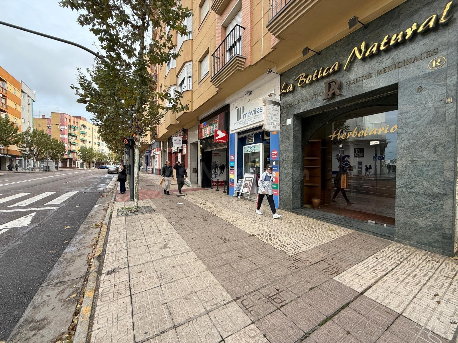 LOCAL COMERCIAL EN AVDA RICARDO CARAPETO - foto 4