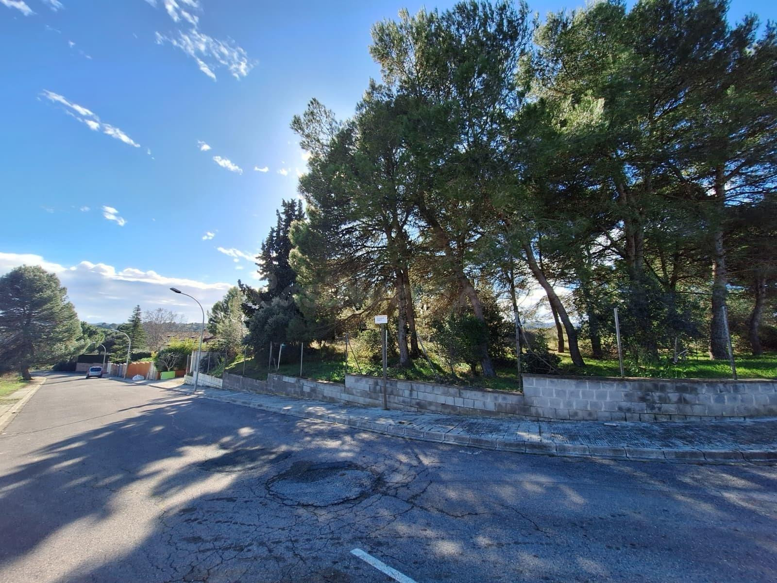 Parcel·la urbanitzable cantonera de 795 m2 a Sant Jaume Seso