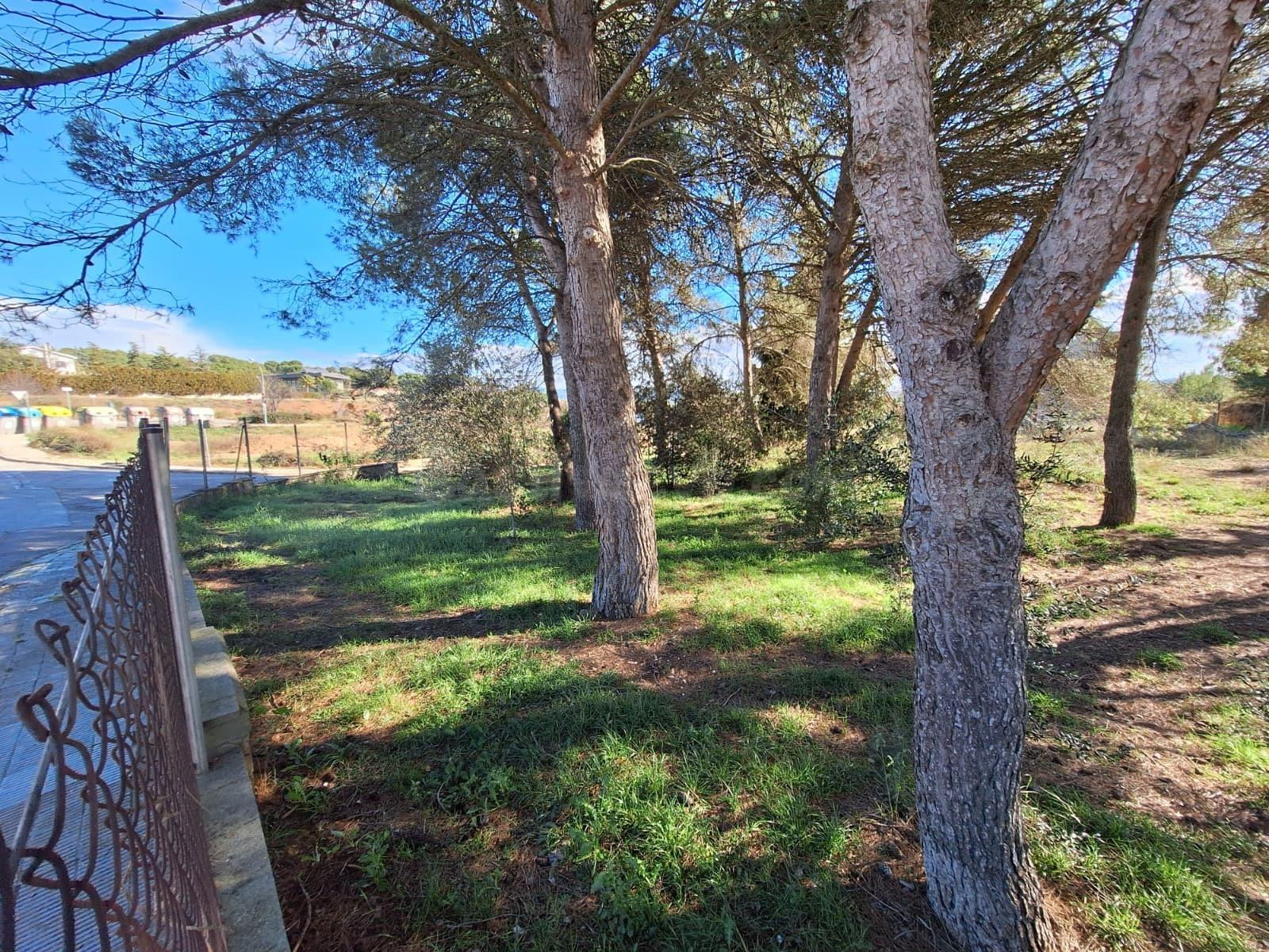 Parcel·la urbanitzable cantonera de 795 m2 a Sant Jaume Seso - foto 4
