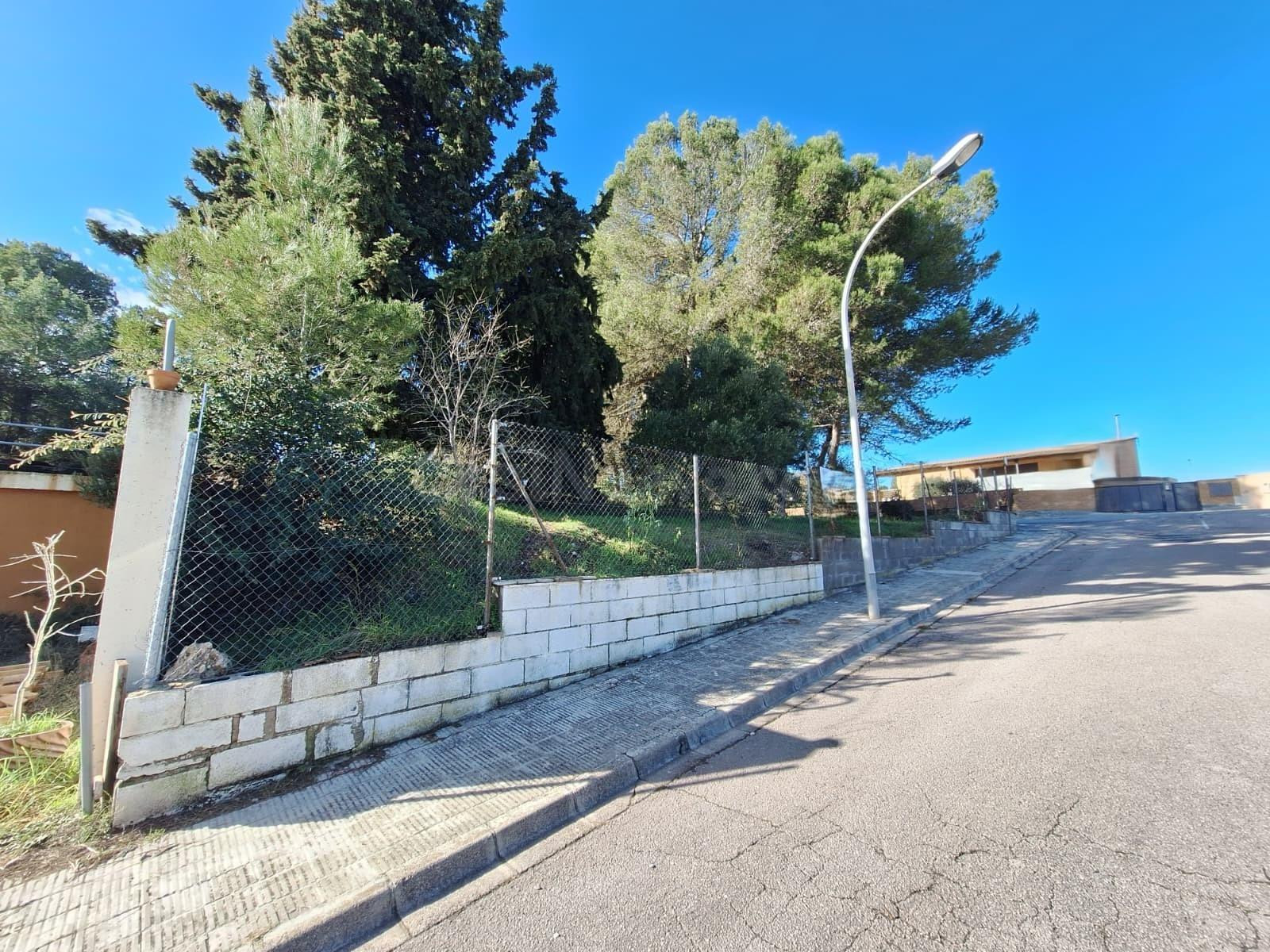 Parcel·la urbanitzable cantonera de 795 m2 a Sant Jaume Seso - foto 5