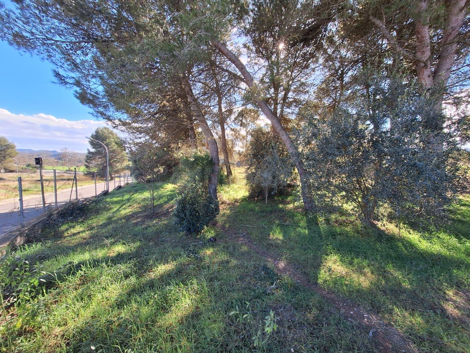 Parcel·la urbanitzable de 3.410 m2 a Sant Jaume Sesoliveres.
