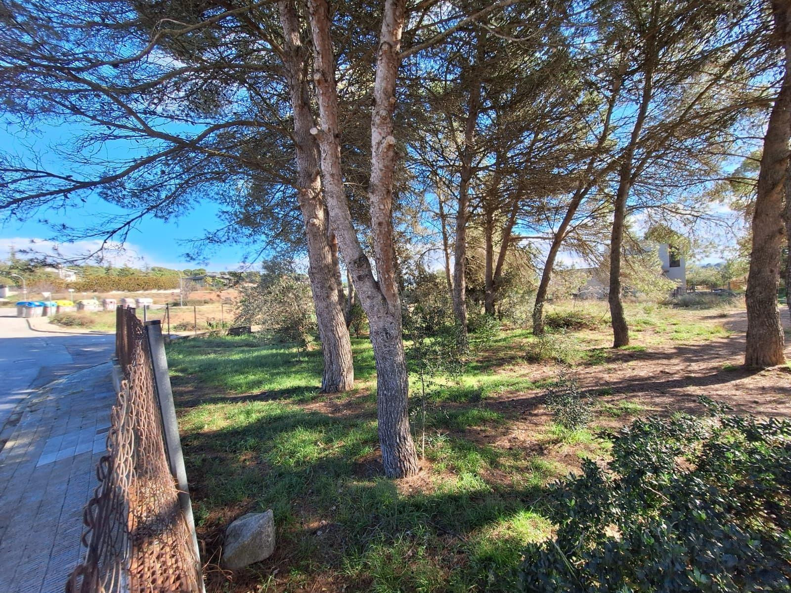 Parcel·la urbanitzable de 3.410 m2 a Sant Jaume Sesoliveres. - foto 2