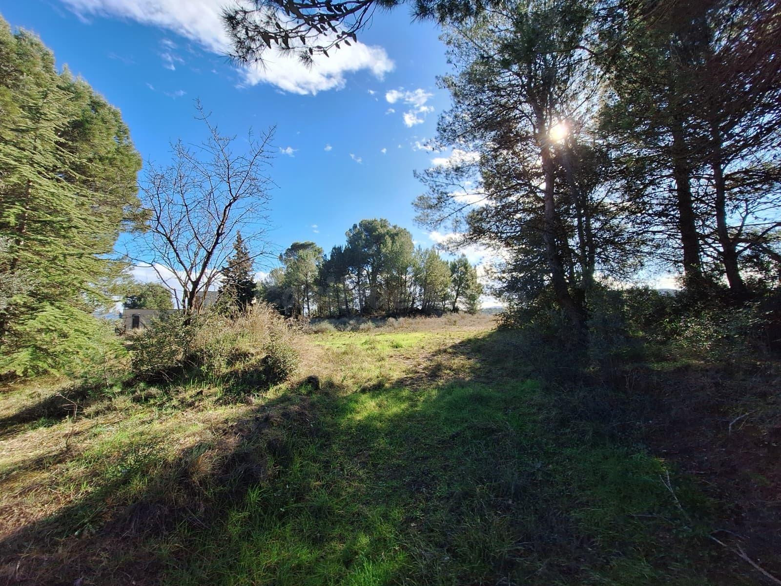Parcel·la urbanitzable de 3.410 m2 a Sant Jaume Sesoliveres. - foto 3