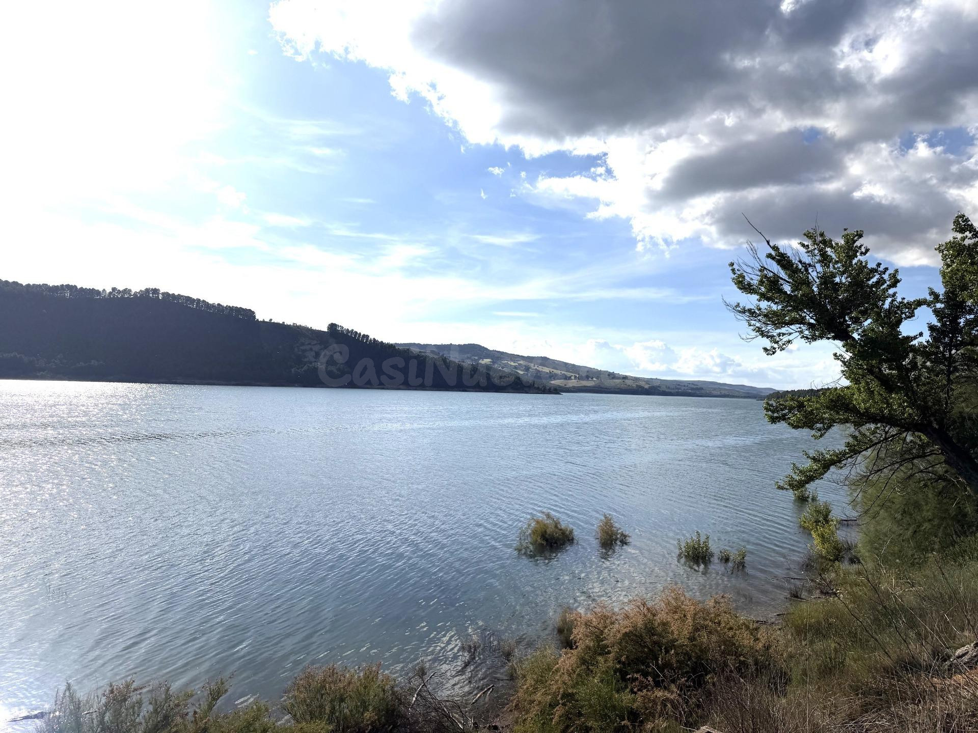 Bermejales (junto). Finca de olivar parte de riego y parte d