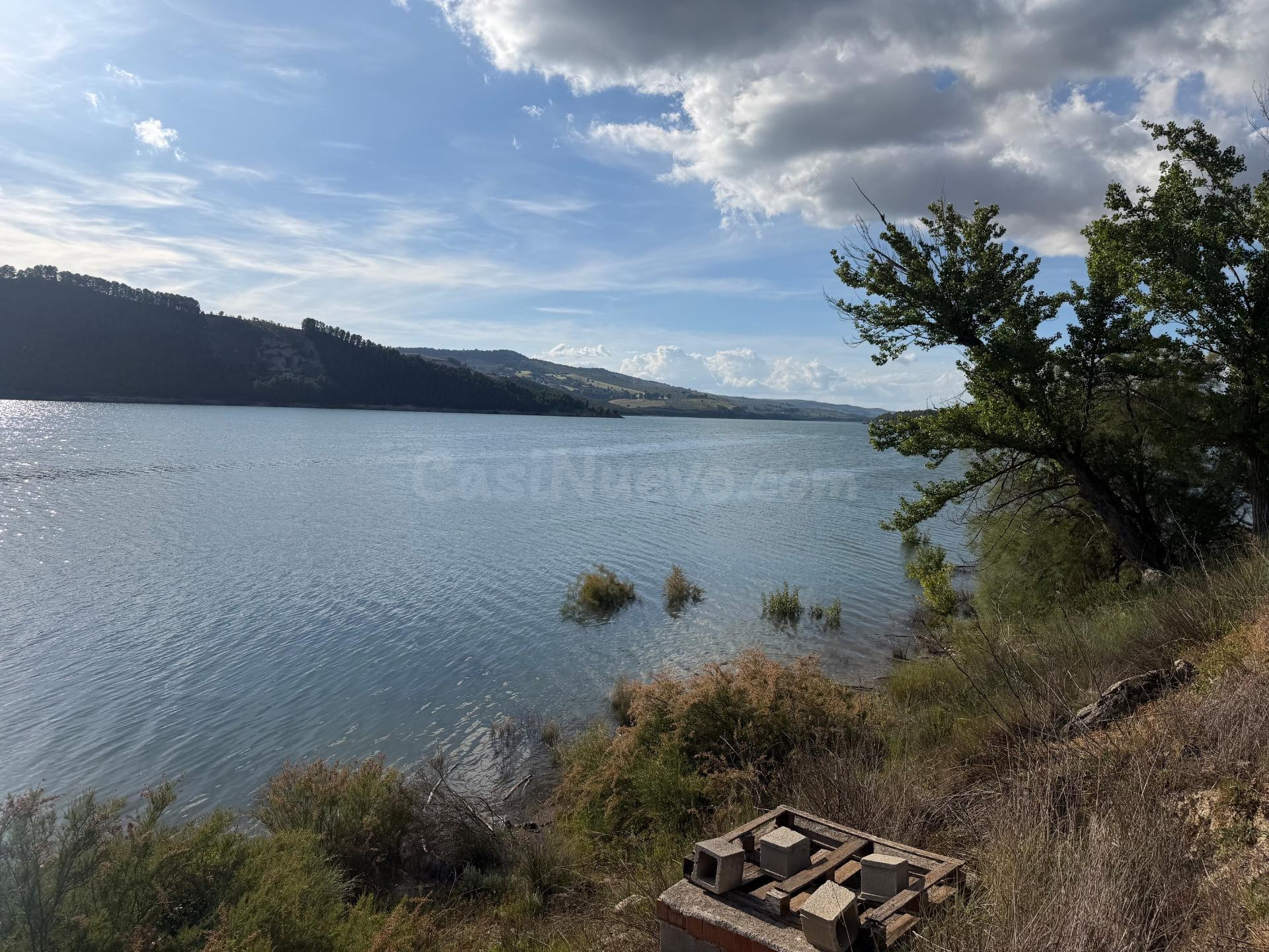 Bermejales (junto). Finca de olivar parte de riego y parte d - foto 2