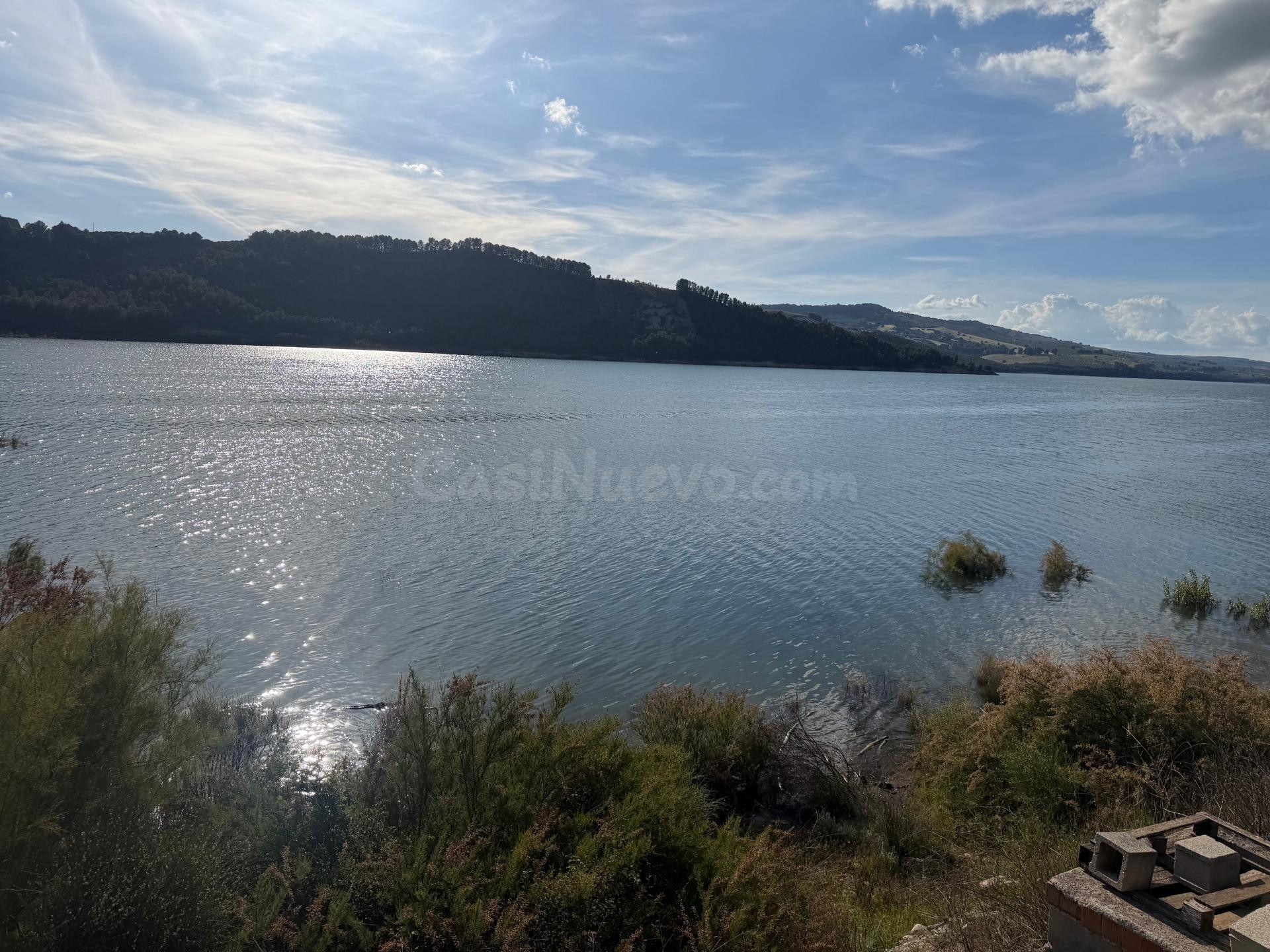Bermejales (junto). Finca de olivar parte de riego y parte d - foto 3