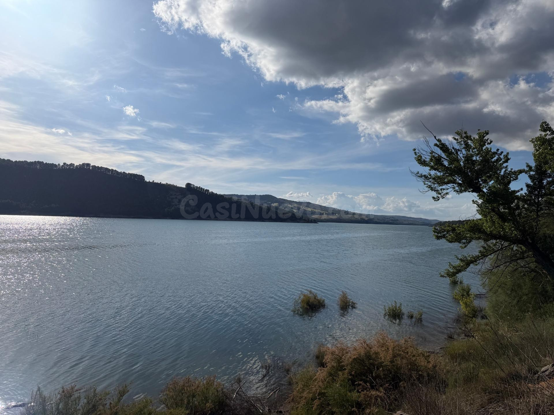 Bermejales (junto). Finca de olivar parte de riego y parte d - foto 4
