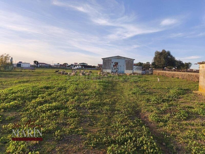 FINCA RÚSTICA CON CHALET Y MÁS - NATURALEZA, AMPLITUD Y CALI - foto 5