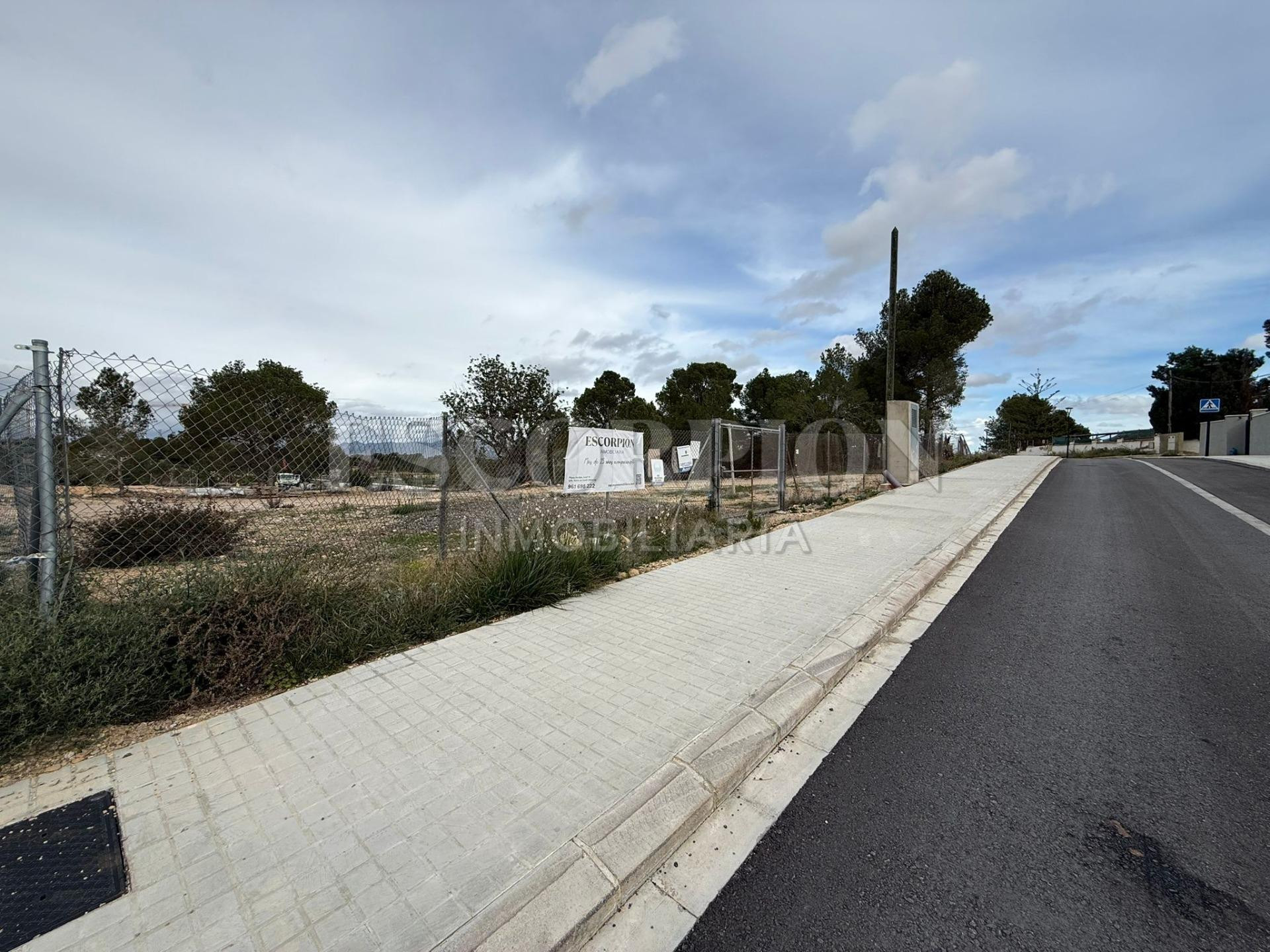 Parcela a la venta en Mas Camarena, Zona Junquera Norte - foto 3
