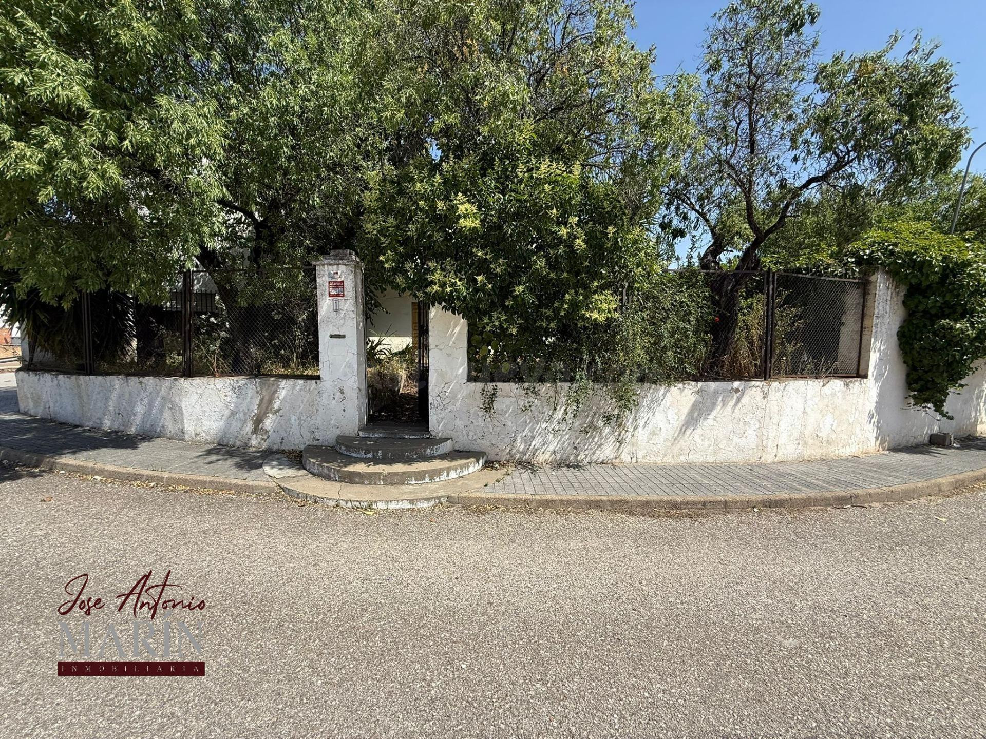CASA SEÑORIAL CON 1.000 M2 DE PARCELA EN LA ALBUERA - AMPLIT - foto 2