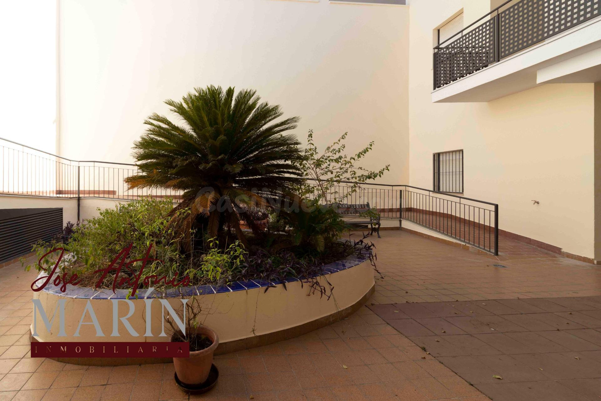 PRECIOSO APARTAMENTO  CON GARAJE EN PLENO CENTRO - foto 3