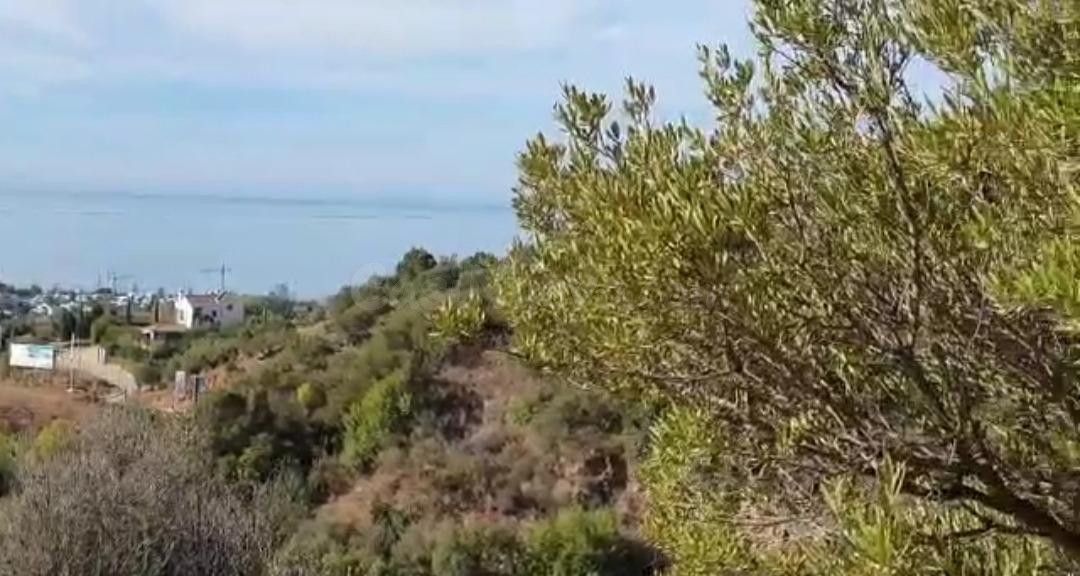 PARCELA CON VISTAS AL MAR ZONA LOS ALTOS DE LOS MONTEROS - foto 2