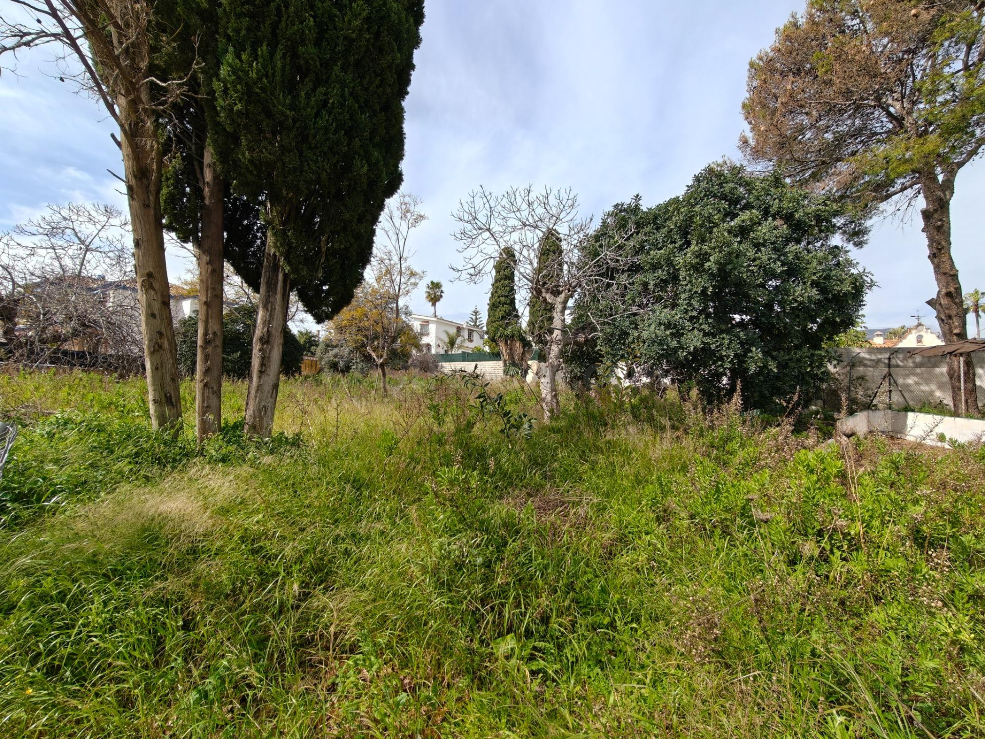 Oportunidad Única: Parcela Urbana Plana de 1.425 m2 en Av. C - foto 4