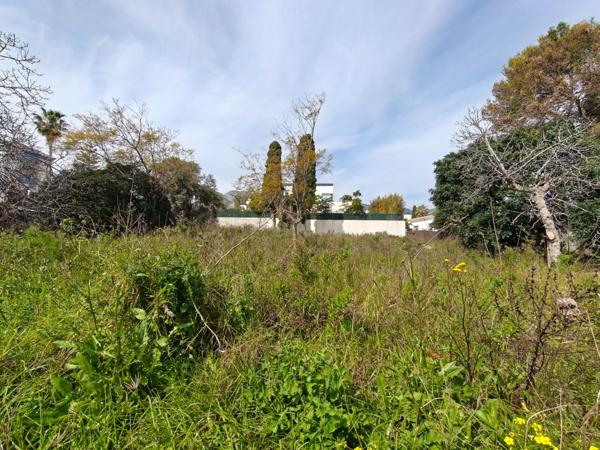 Oportunidad Única: Parcela Urbana Plana de 1.425 m2 en Av. C - foto 5