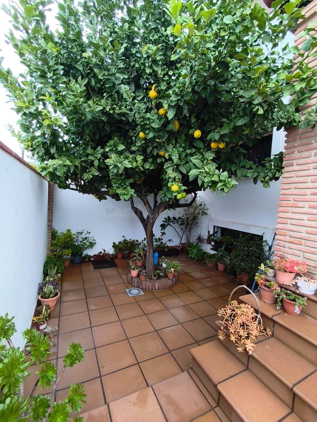 Amplia y Funcional Vivienda Independiente en Los Pacos, Fuen - foto 3