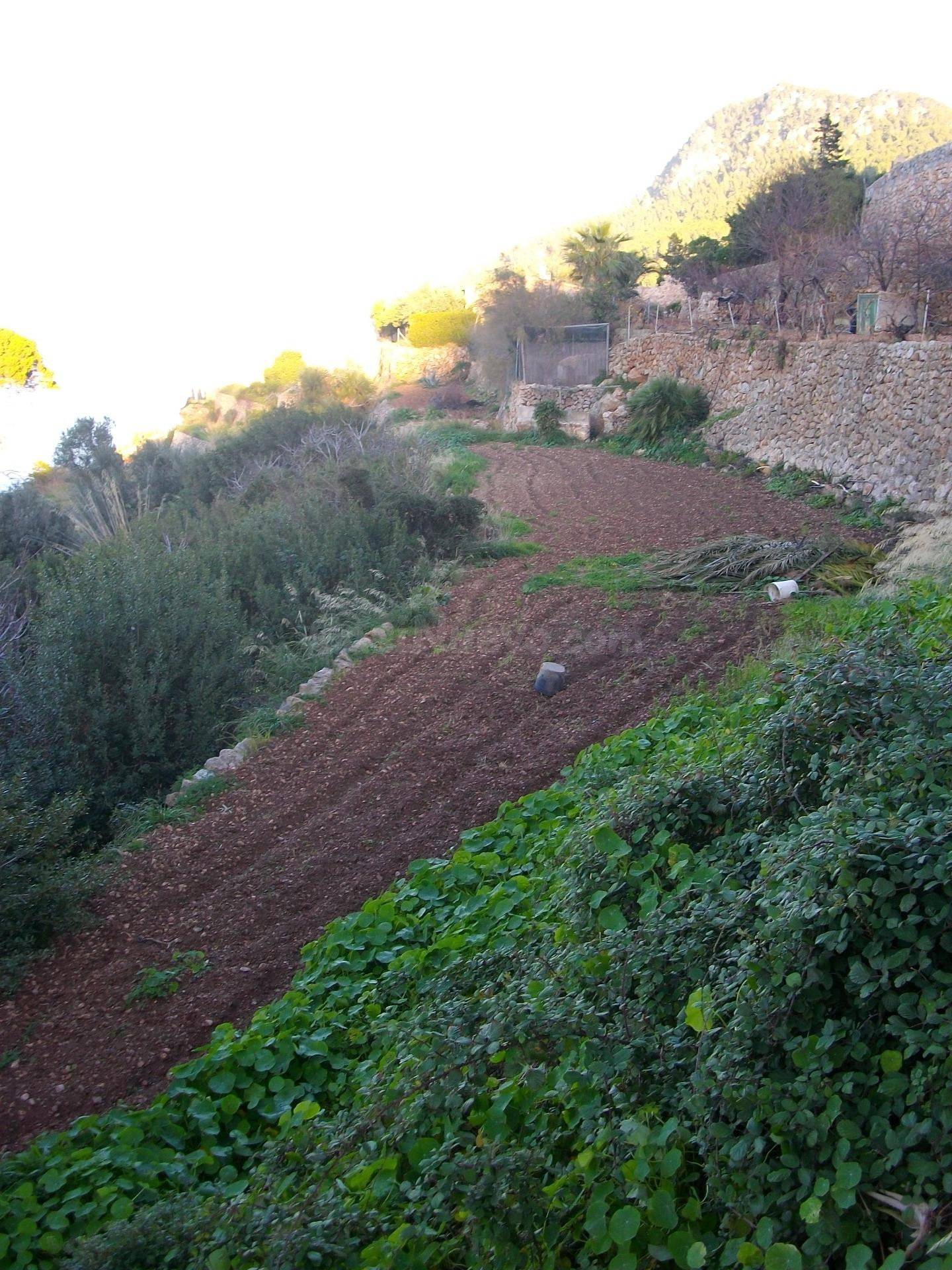 Terreno rural en venta - Banyalbufar - foto 2