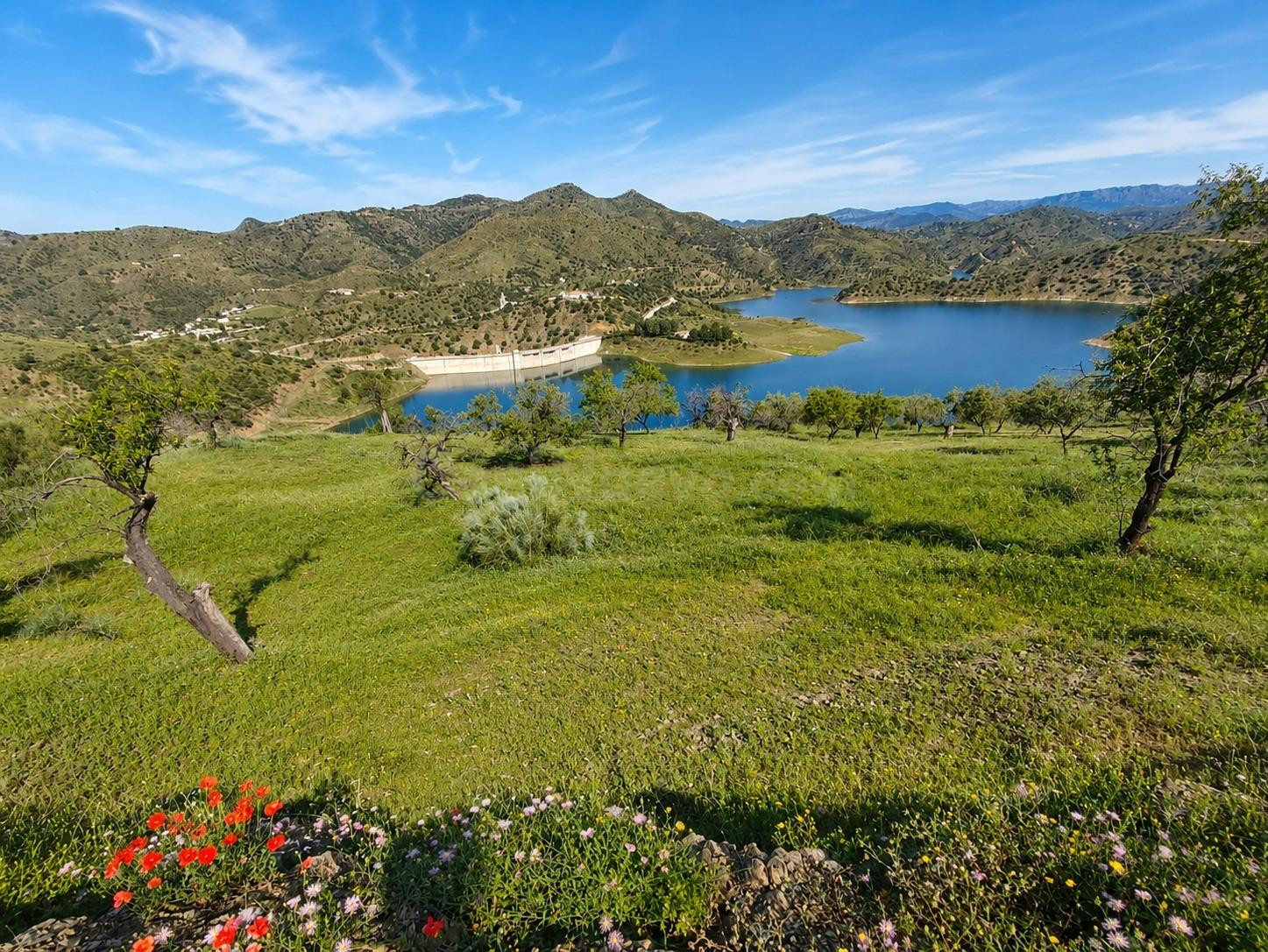 FINCA RÚSTICA CON VISTAS ESPECTACULARES AL PANTANO CASASOLA  - foto 2