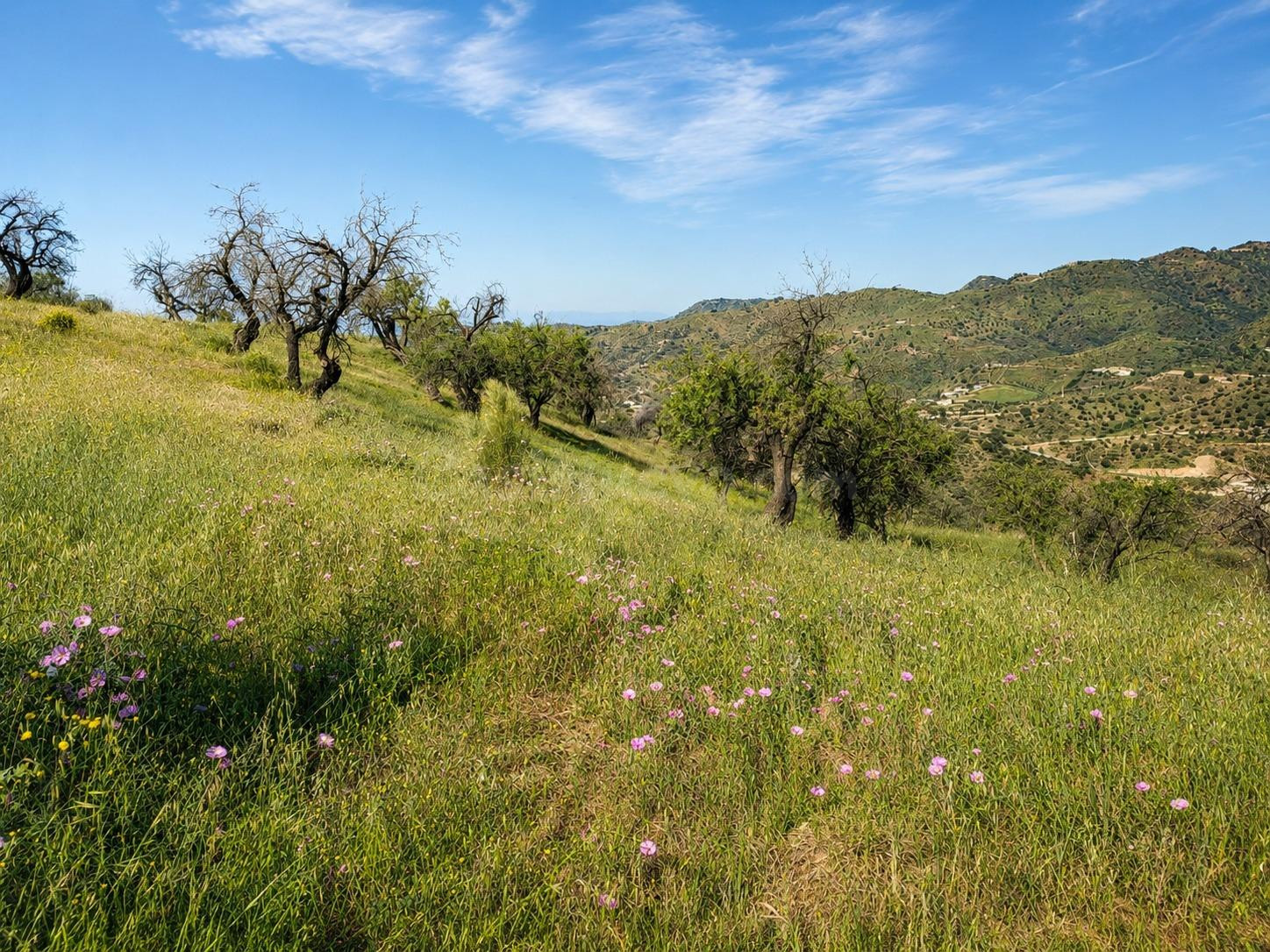 FINCA RÚSTICA CON VISTAS ESPECTACULARES AL PANTANO CASASOLA  - foto 3