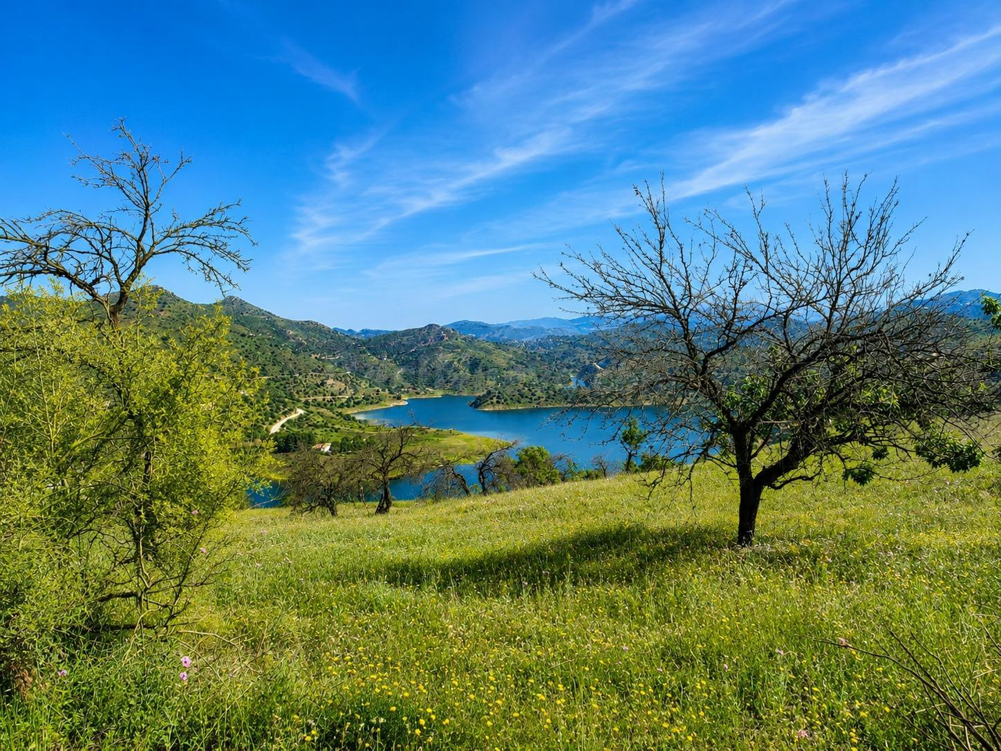 FINCA RÚSTICA CON VISTAS ESPECTACULARES AL PANTANO CASASOLA  - foto 4