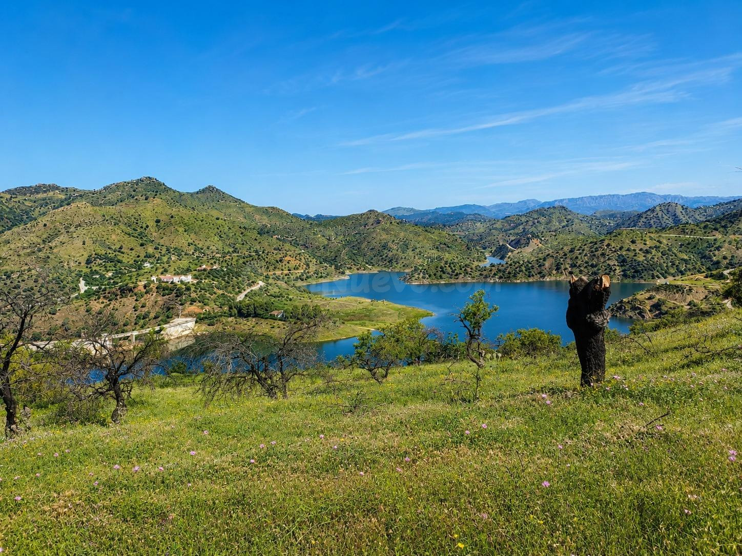 FINCA RÚSTICA CON VISTAS ESPECTACULARES AL PANTANO CASASOLA  - foto 5