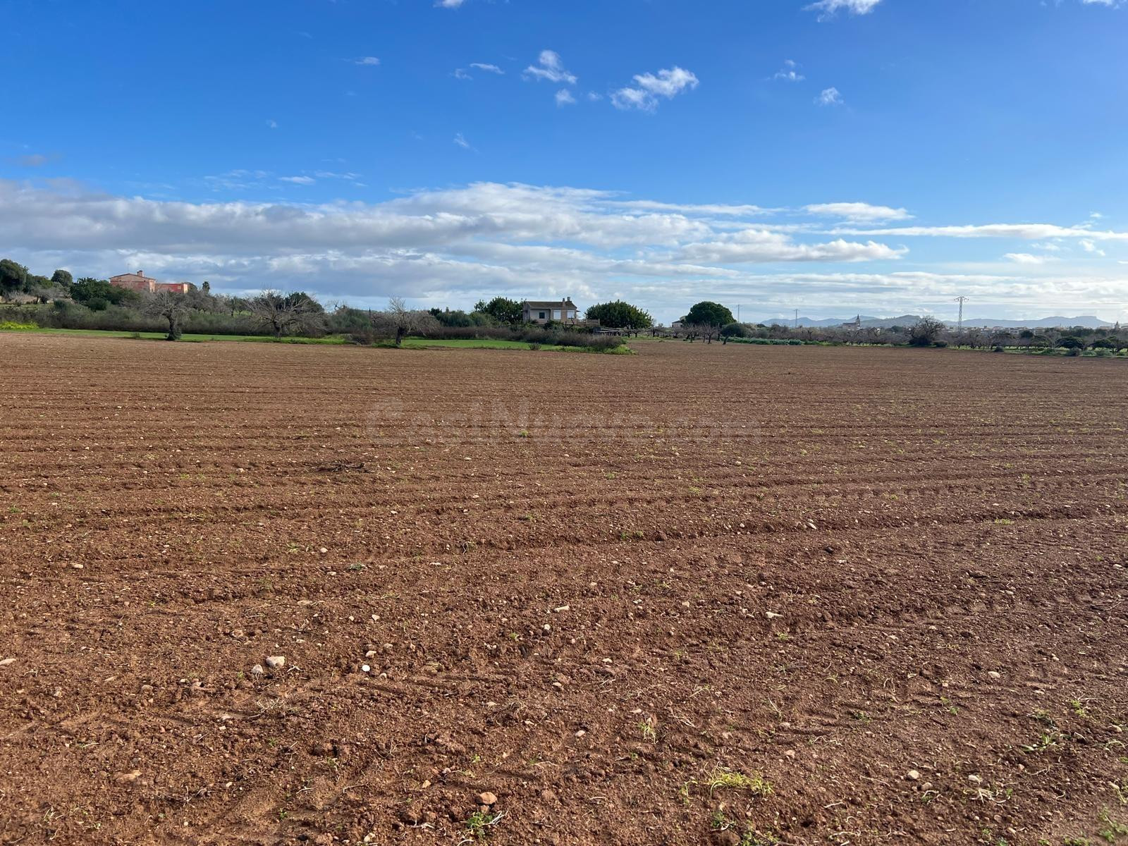 PORRERES Venta rústica para edificar - foto 2
