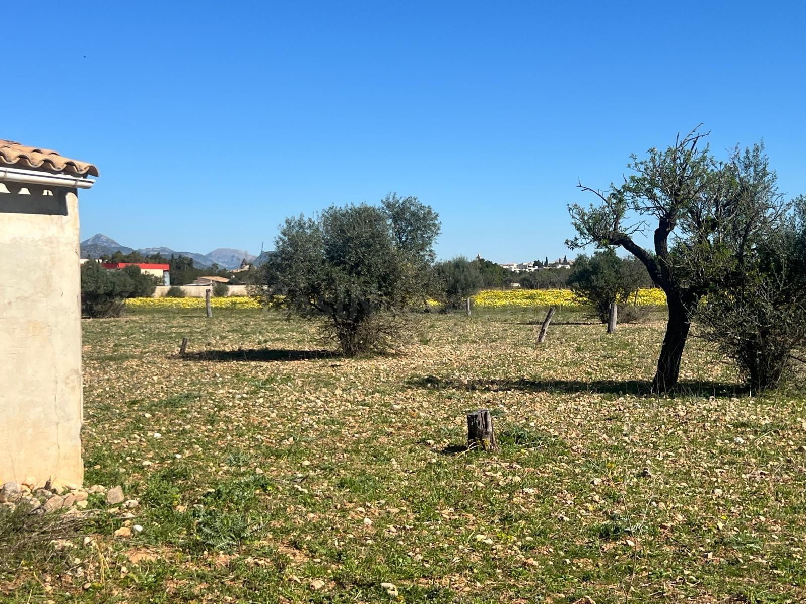 CONSELL - Terreno con casita de aperos