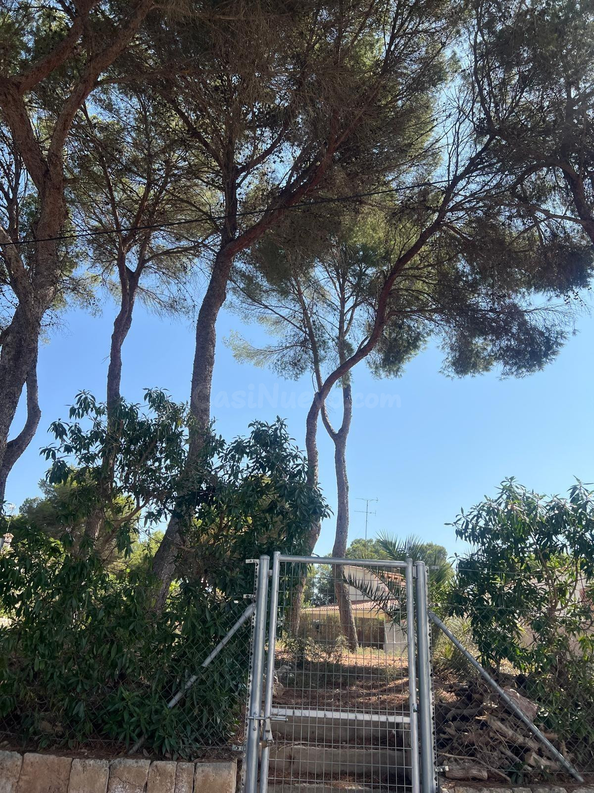 SOLAR EN VENTA JUNTO A PLAYA DE PALMA