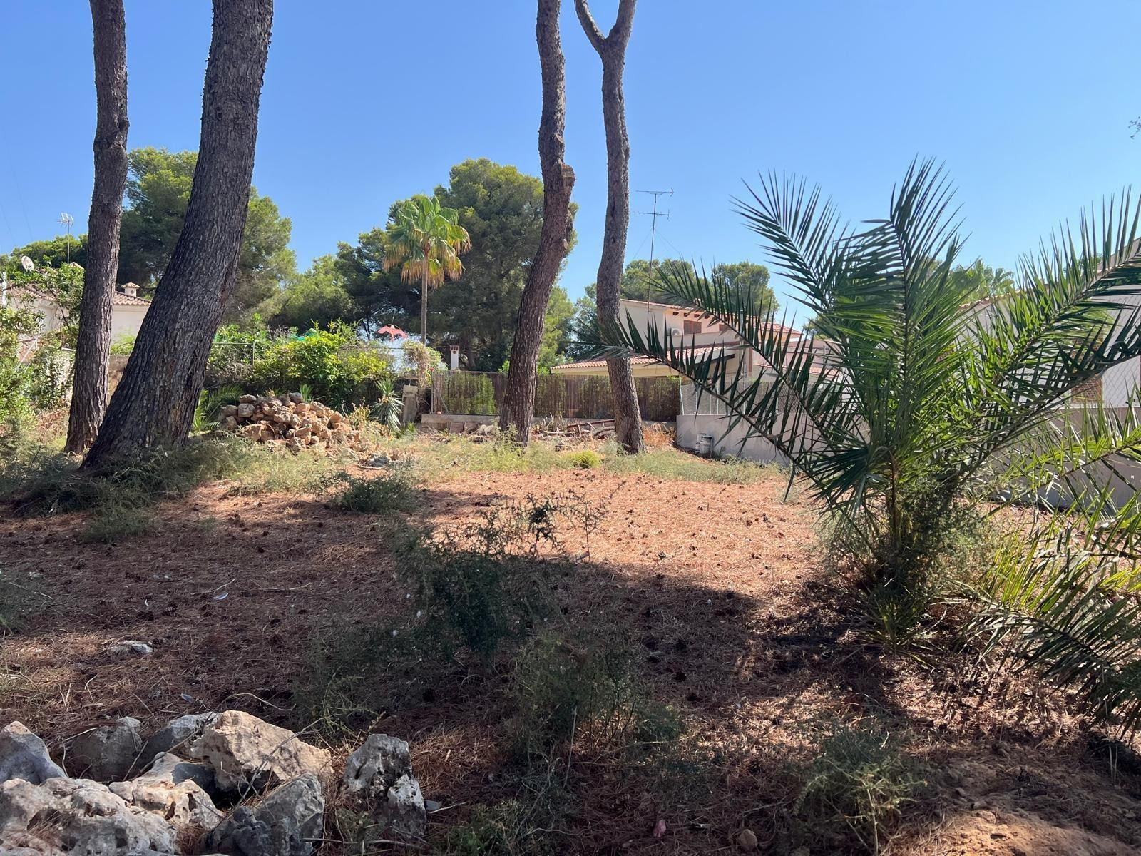 SOLAR EN VENTA JUNTO A PLAYA DE PALMA - foto 3