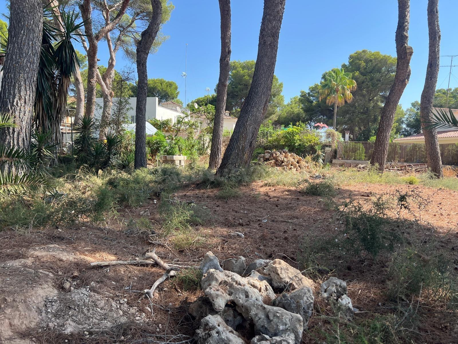 SOLAR EN VENTA JUNTO A PLAYA DE PALMA - foto 4