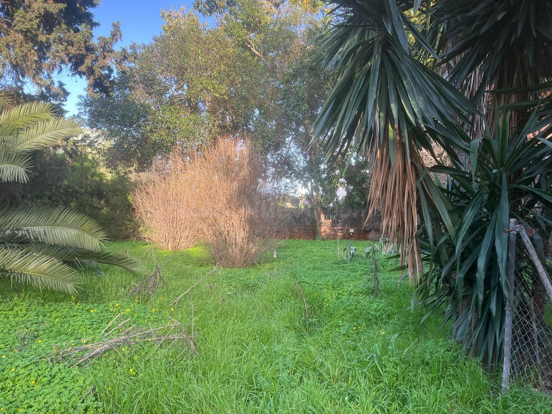 EXCLUSIVA PARCELA URBANA  EN SANTA CLARA — OPORTUNIDAD ÚNICA
