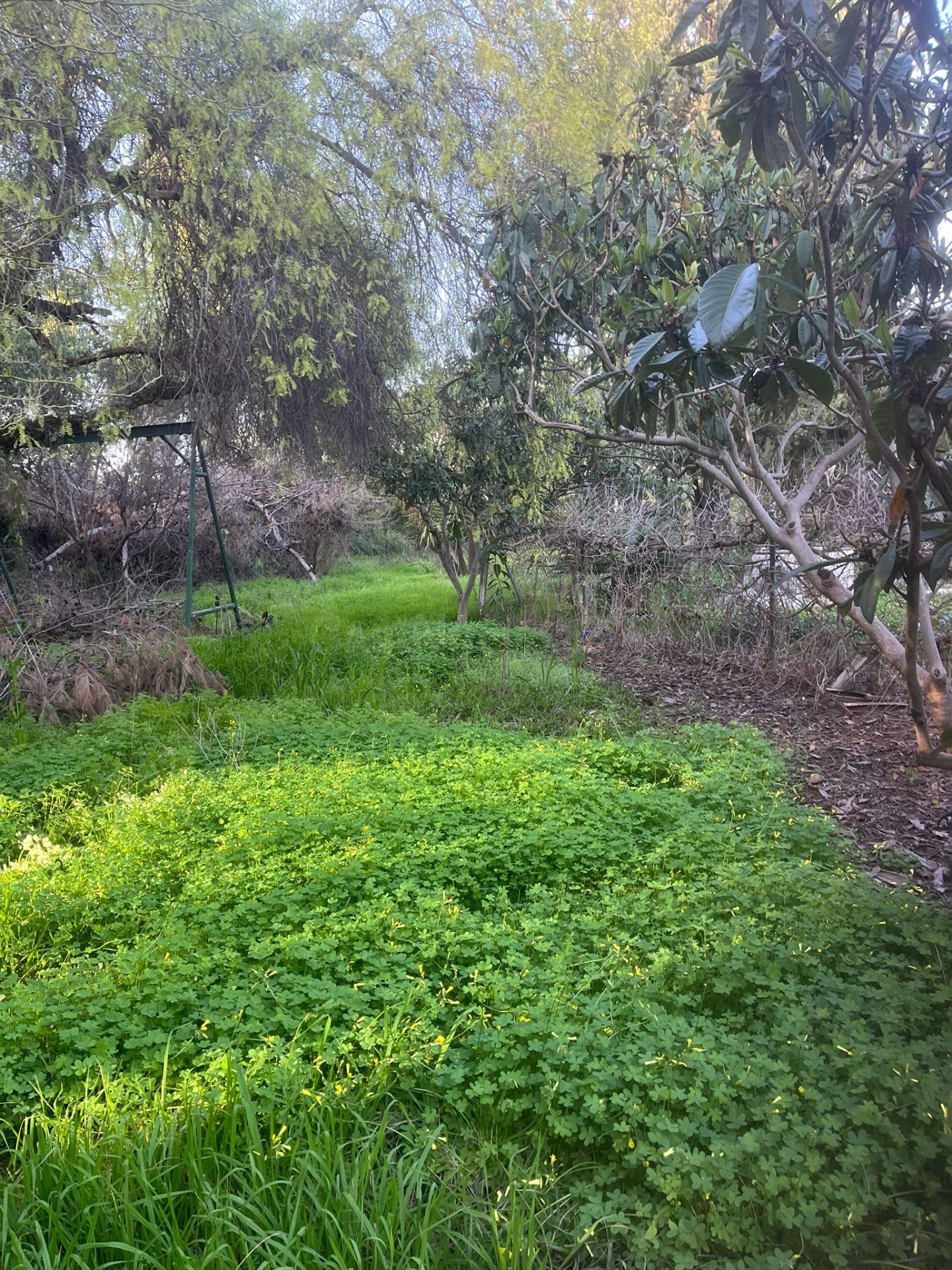 EXCLUSIVA PARCELA URBANA  EN SANTA CLARA — OPORTUNIDAD ÚNICA - foto 4