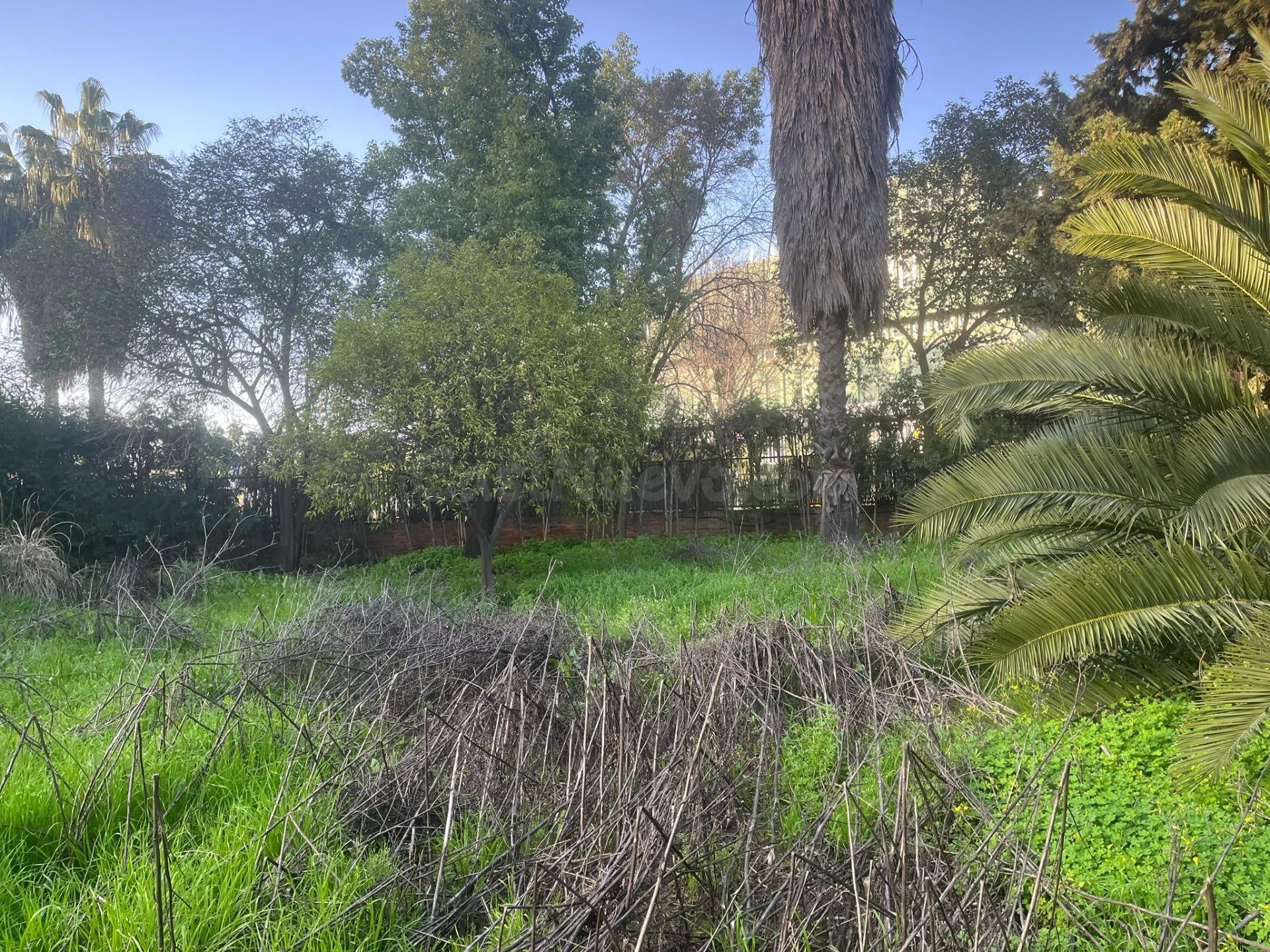 EXCLUSIVA PARCELA URBANA EN SANTA CLARA — OPORTUNIDAD ÚNICA  - foto 2