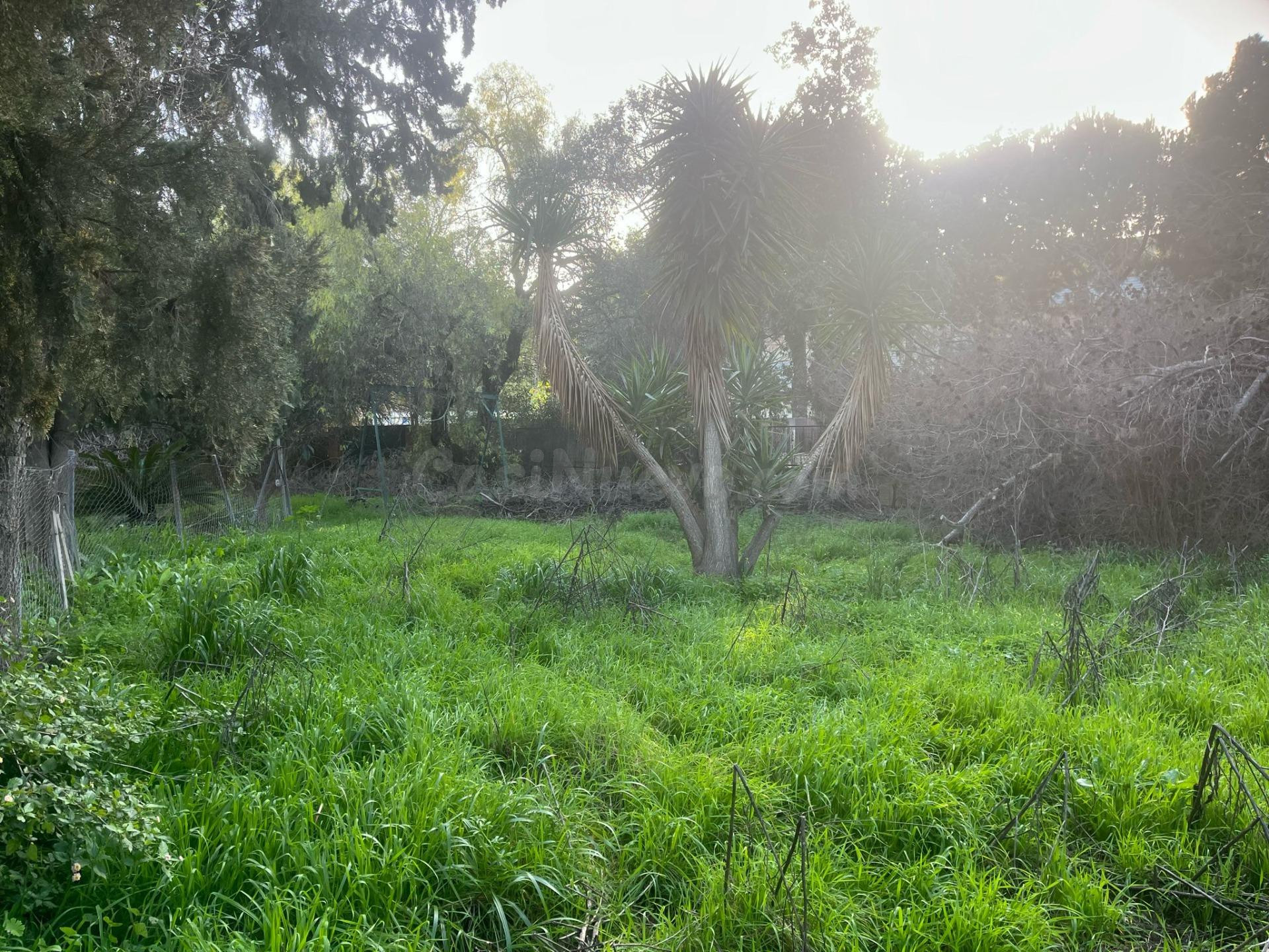 EXCLUSIVA PARCELA URBANA EN SANTA CLARA — OPORTUNIDAD ÚNICA  - foto 3